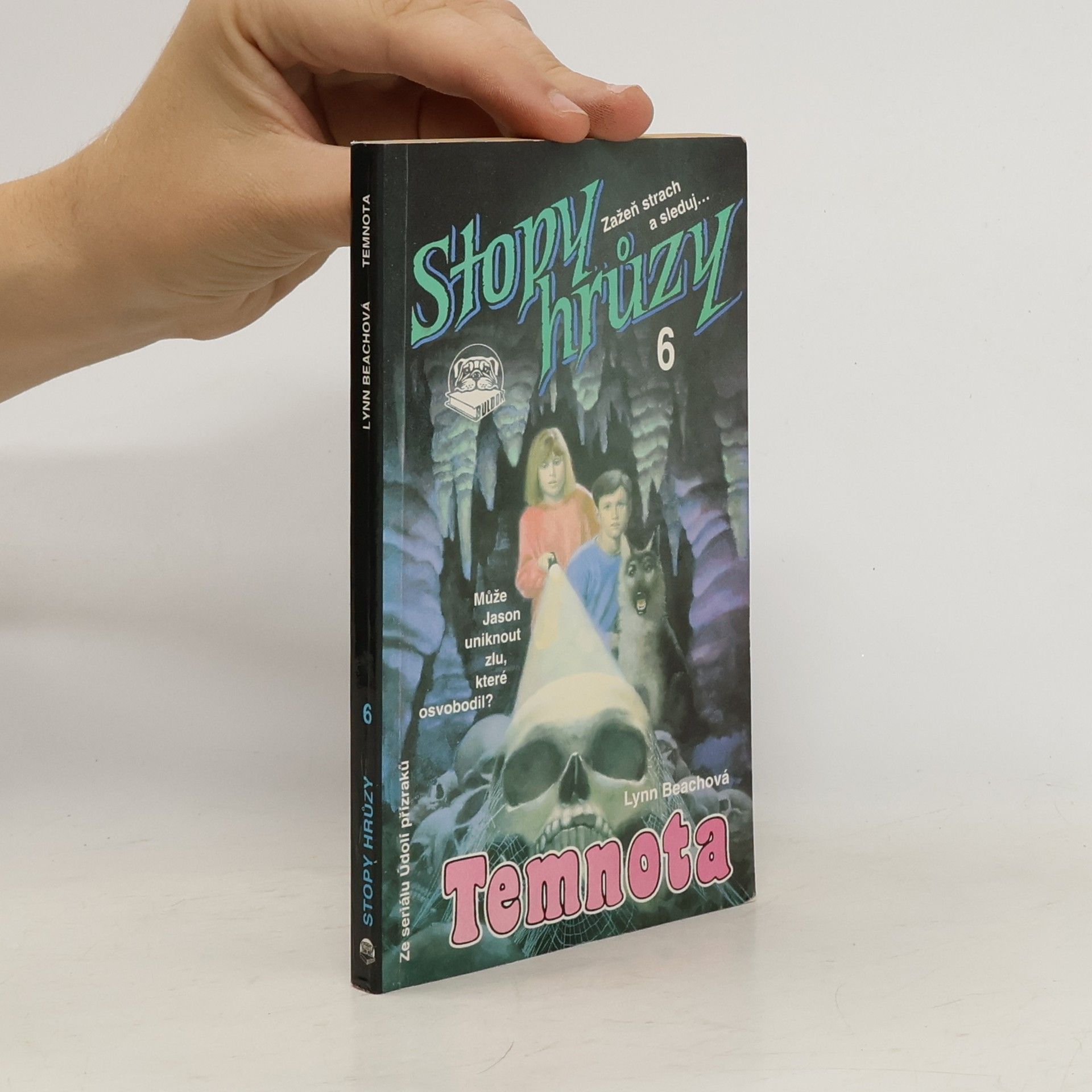Lynn Beach Temnota. Stopy hrůzy 6.