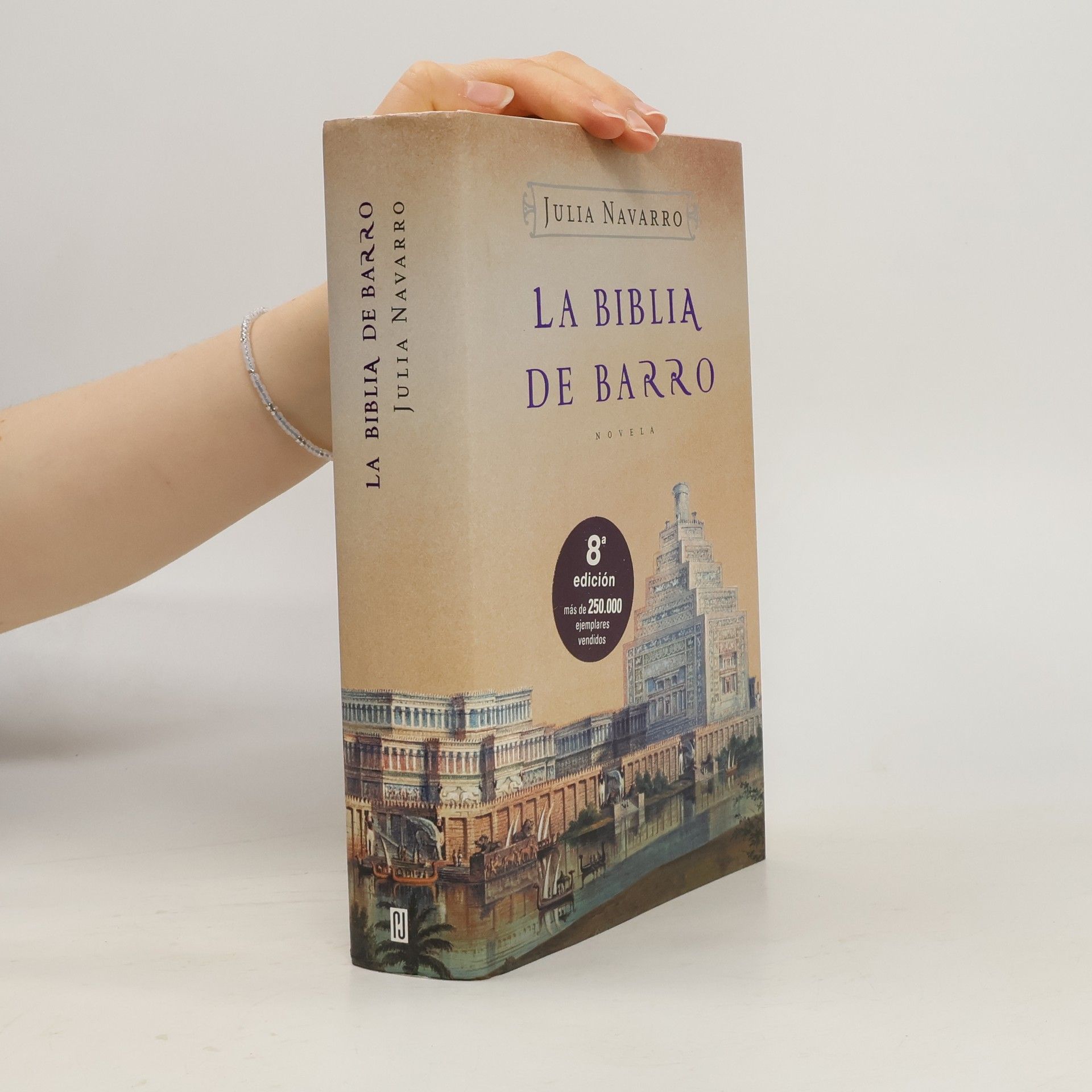 Julia Navarro Fernandez La biblia de barro