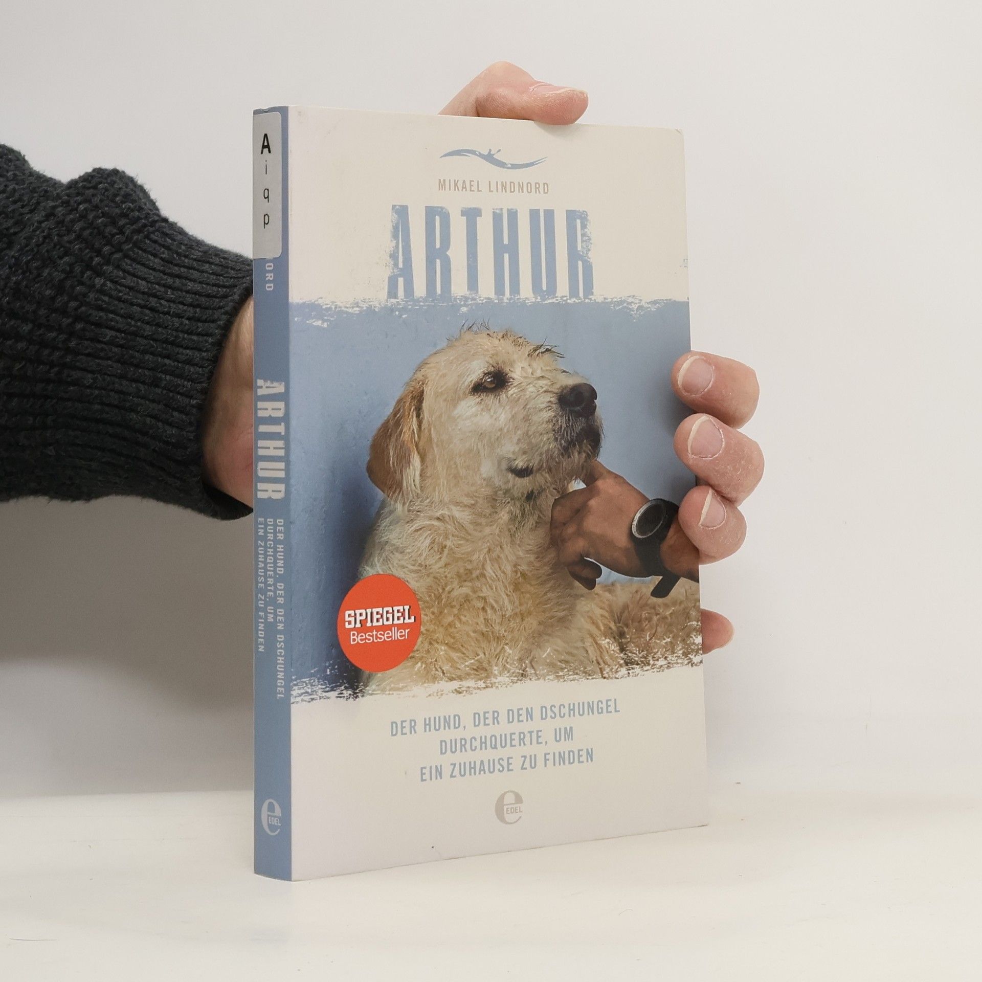 Mikael Lindnord Arthur