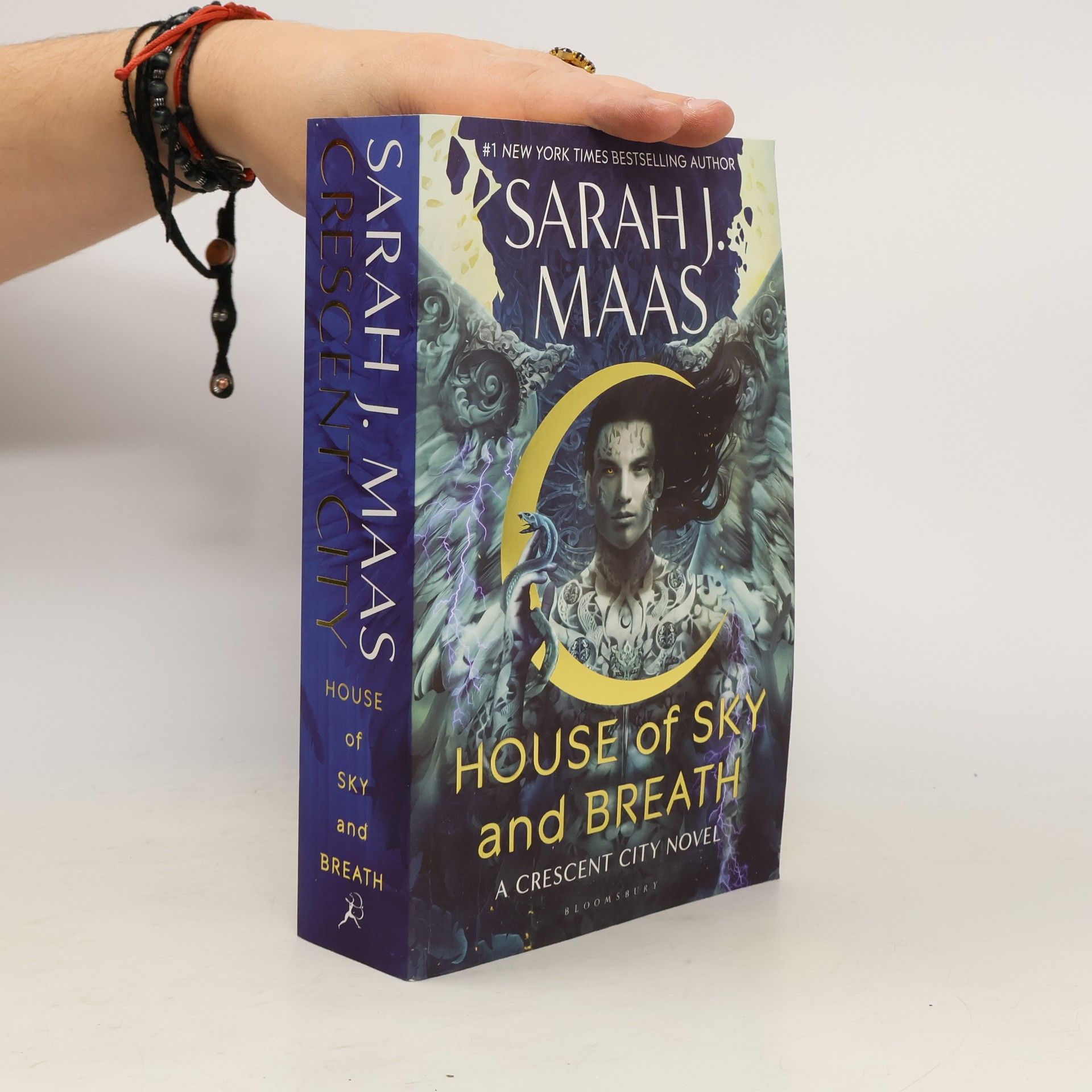 Sarah J. Maas House of sky and breath