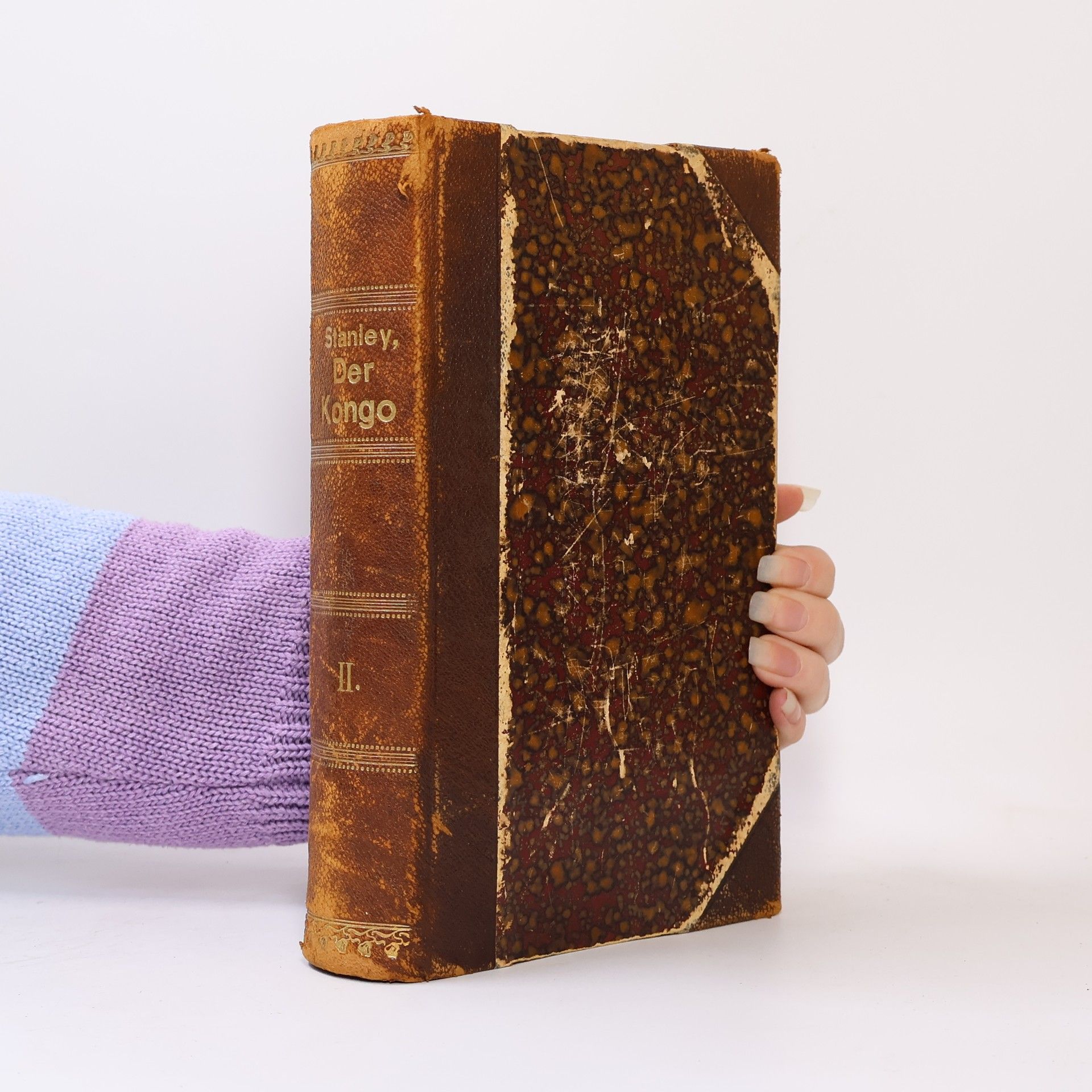 Der Kongo und die Gründung des Kongostaates 2.