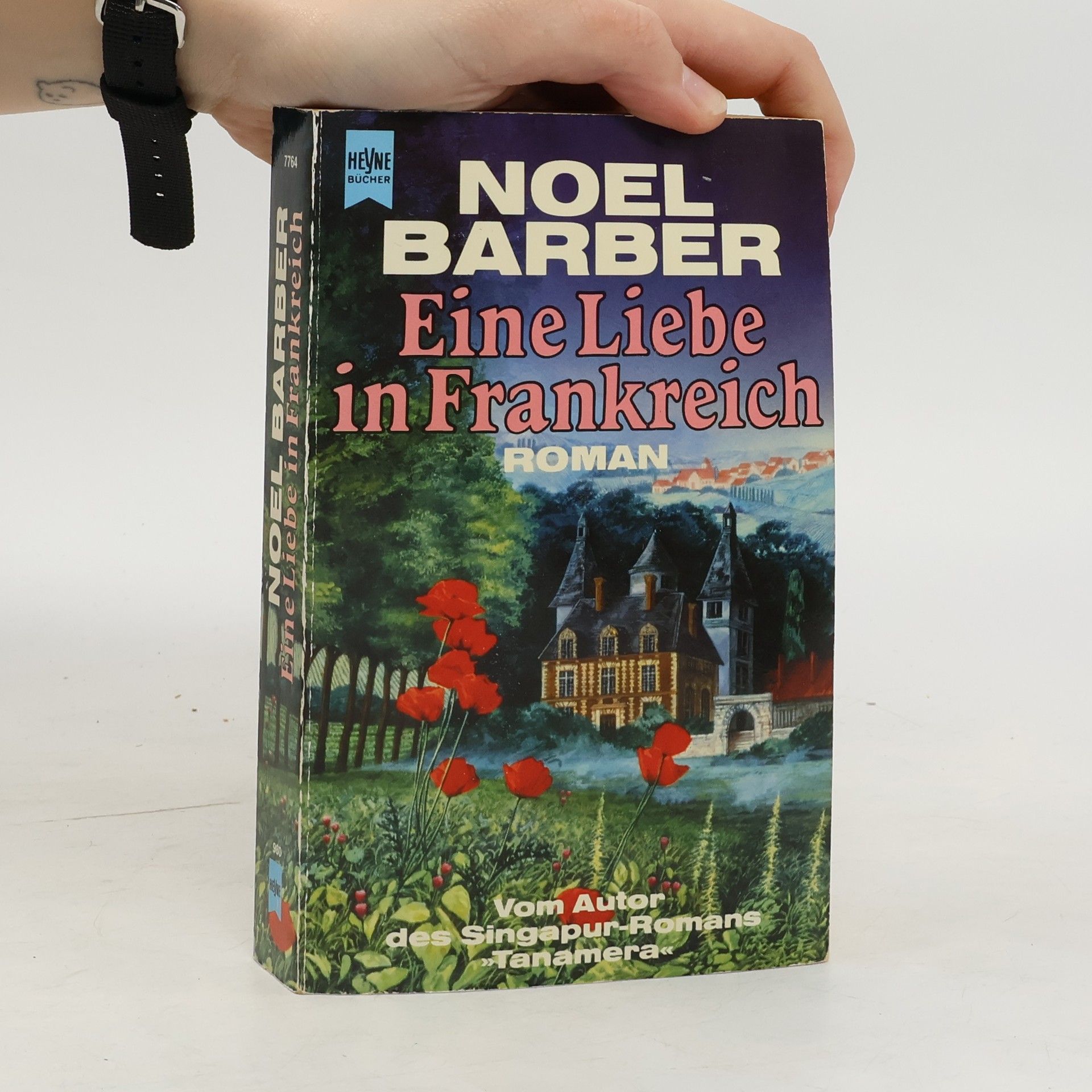 Eine Liebe in Frankreich. Roman.