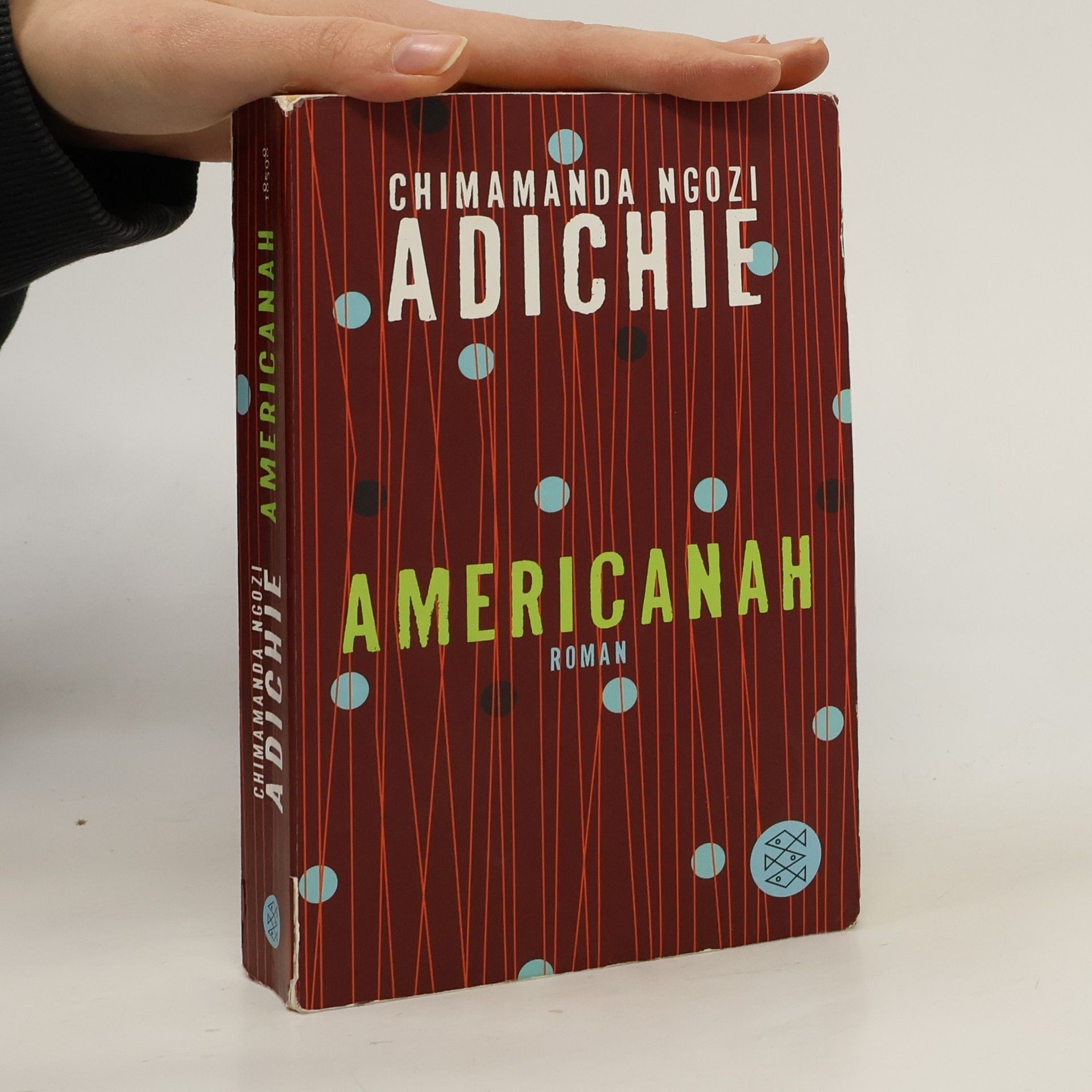 Chimamanda Ngozi Adichie Americanah