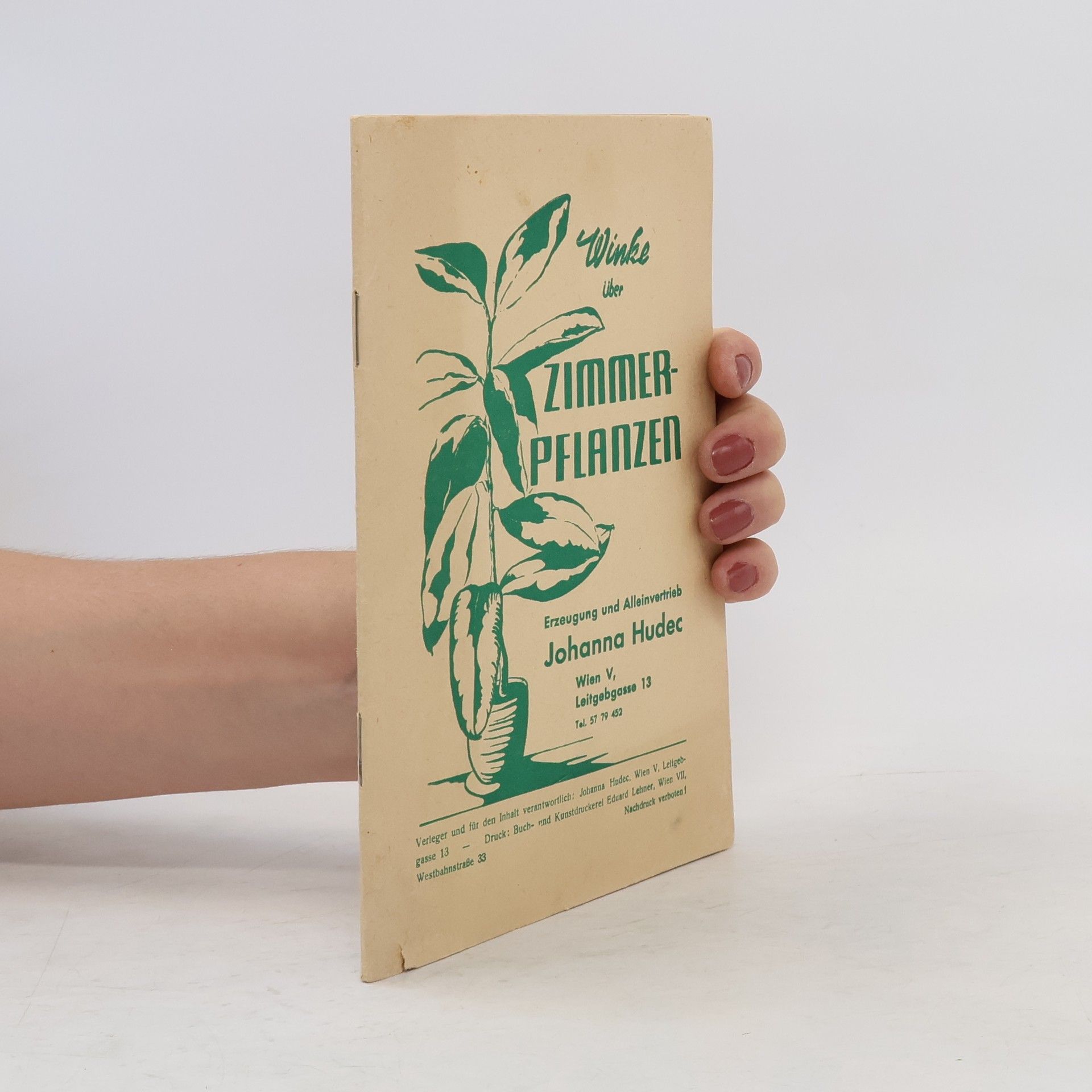 Johanna Hudec Winke über Zimmerpflanzen