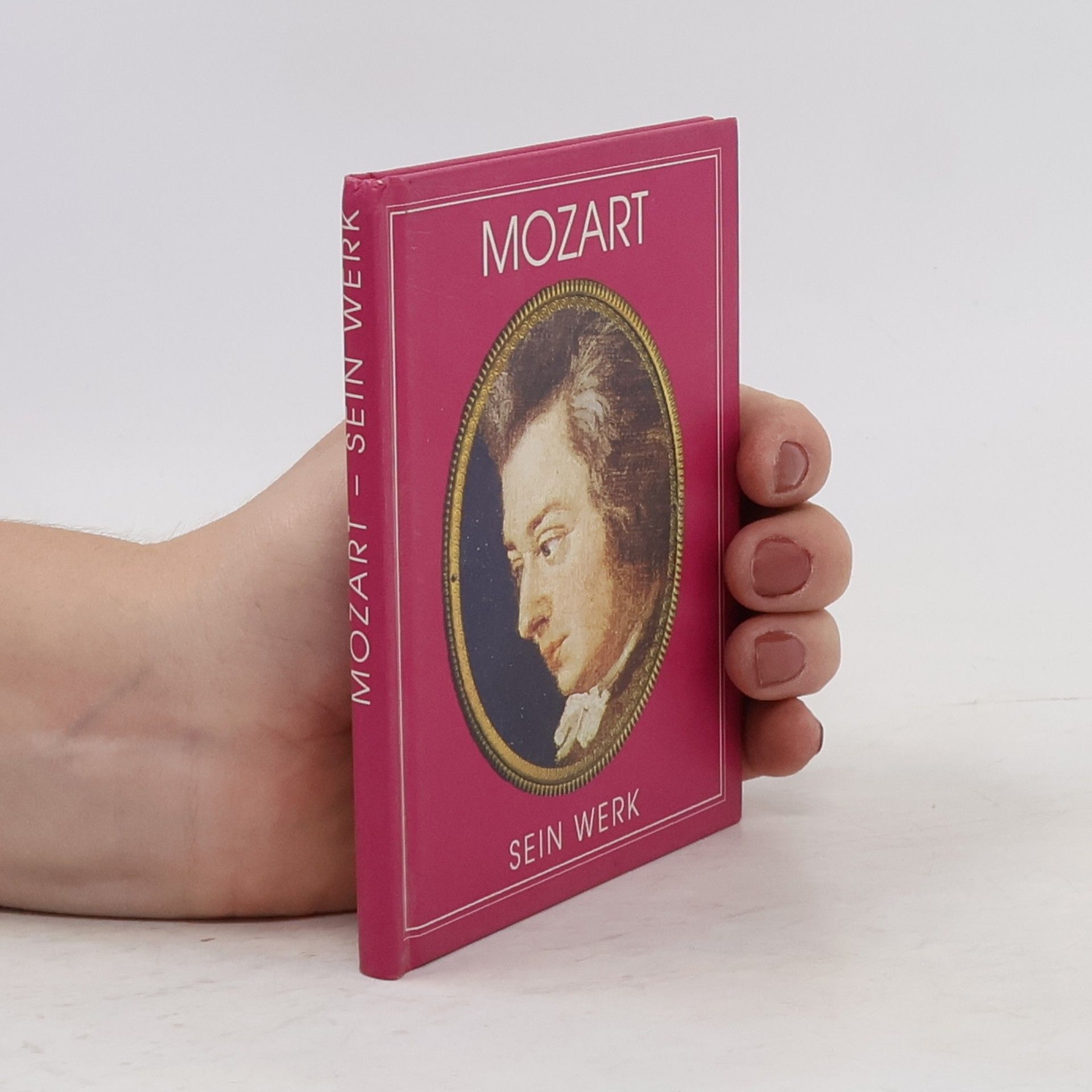 Kolektiv autorů Mozart. Sein Werk