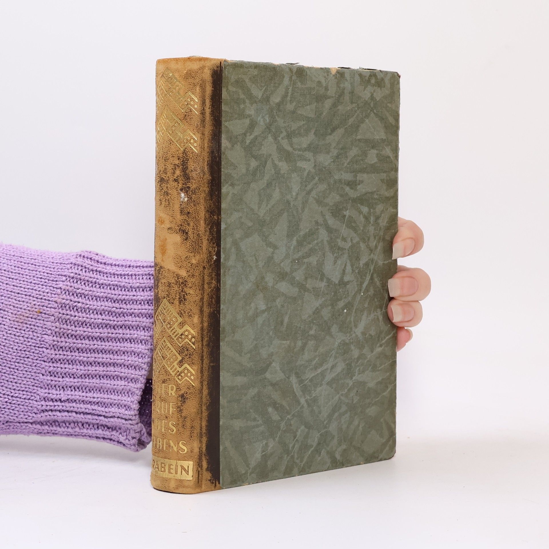 Paul Grabein Der Ruf des Lebens