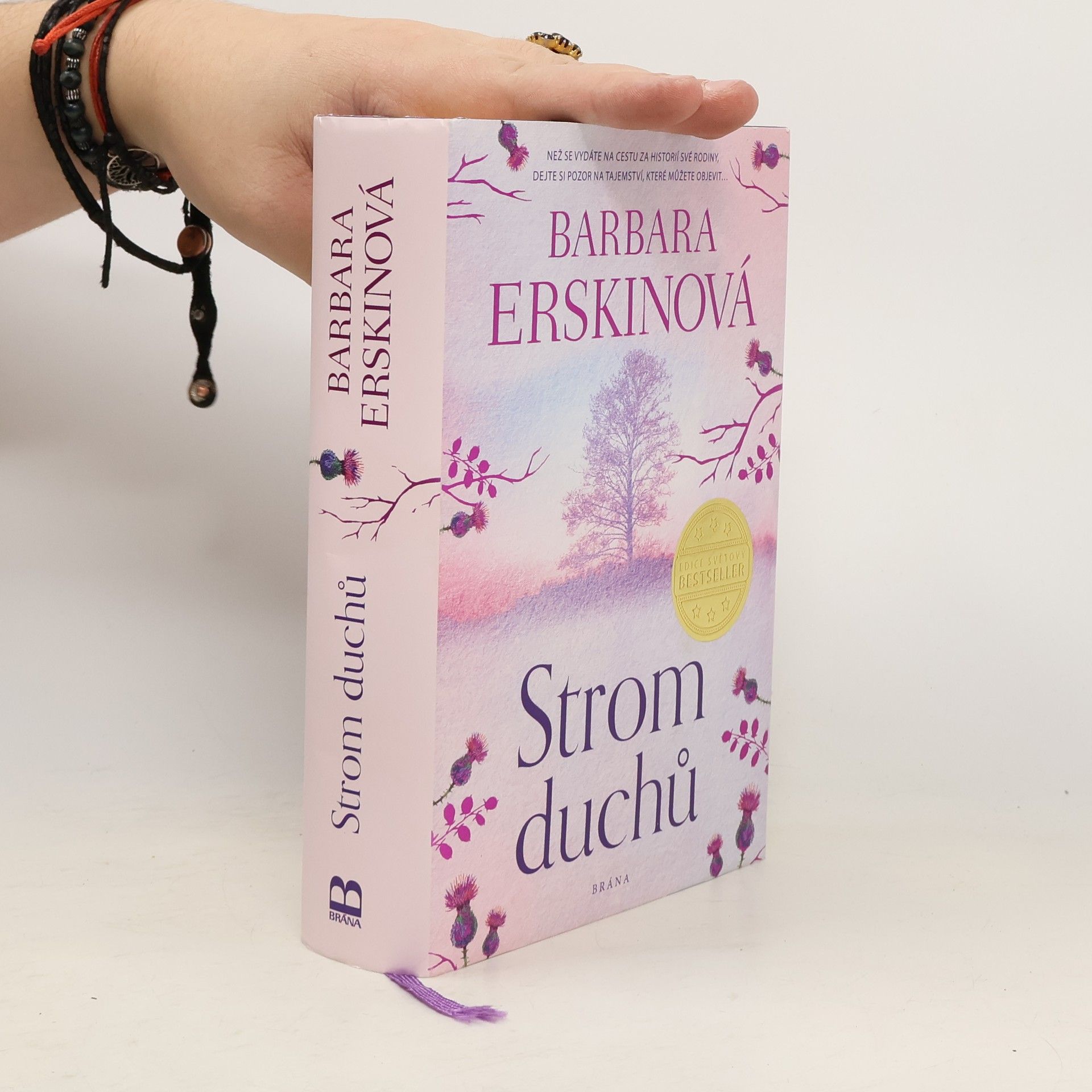 Barbara Erskine Strom duchů