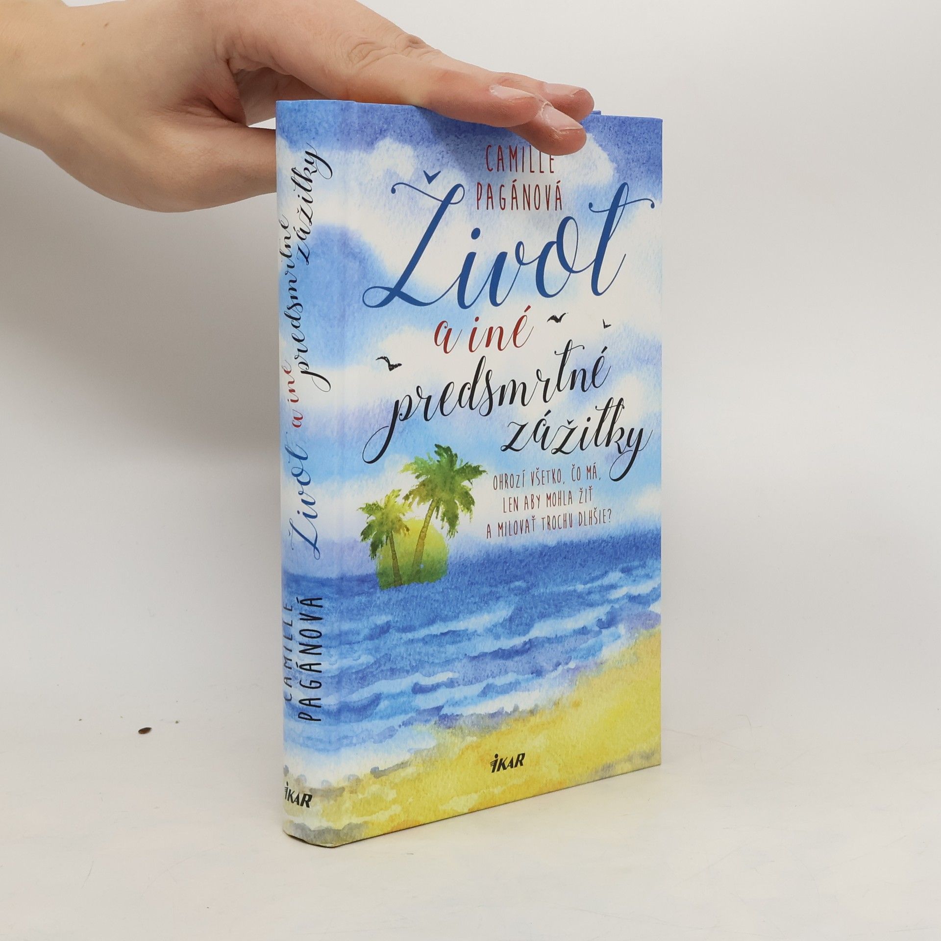 Camille Pagán Život a iné predsmrtné zážitky