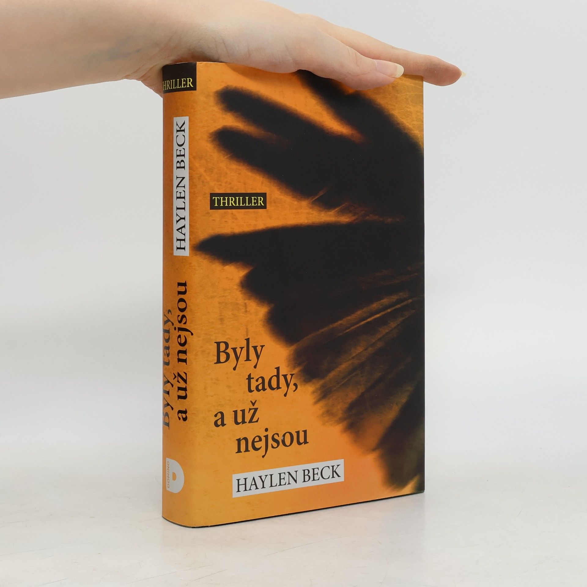 Stuart Neville Byly tady, a už nejsou