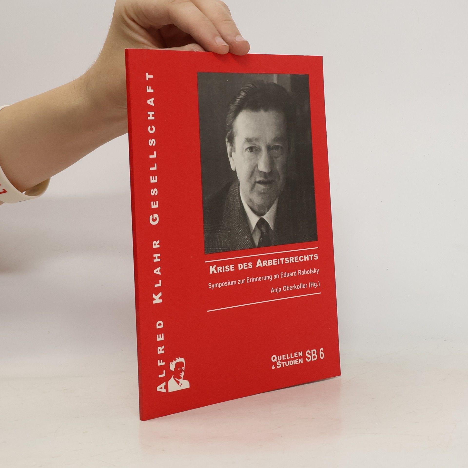 Anja Oberkofler Krise des Arbeitsrechts