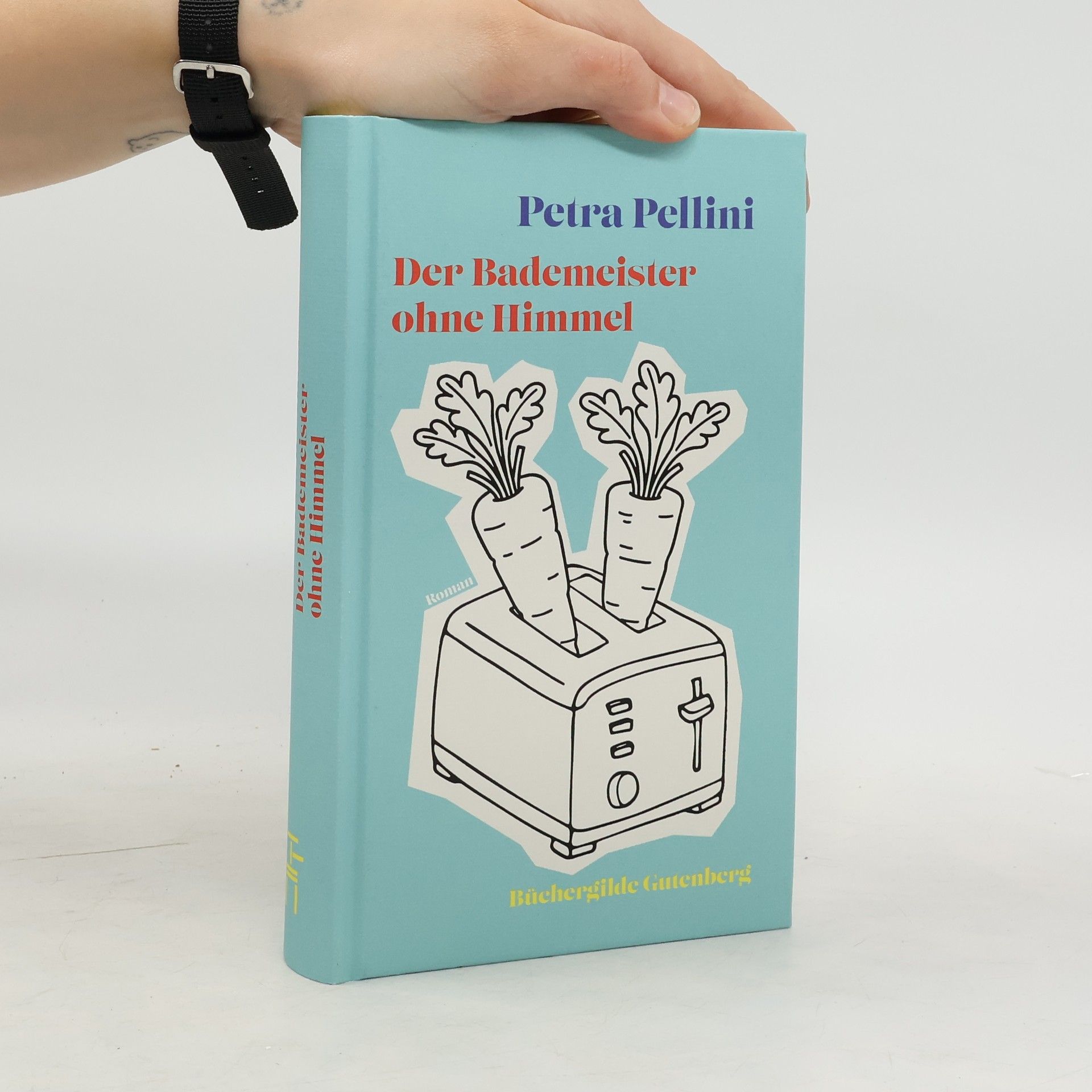 Petra Pellini Der Bademeister ohne Himmel