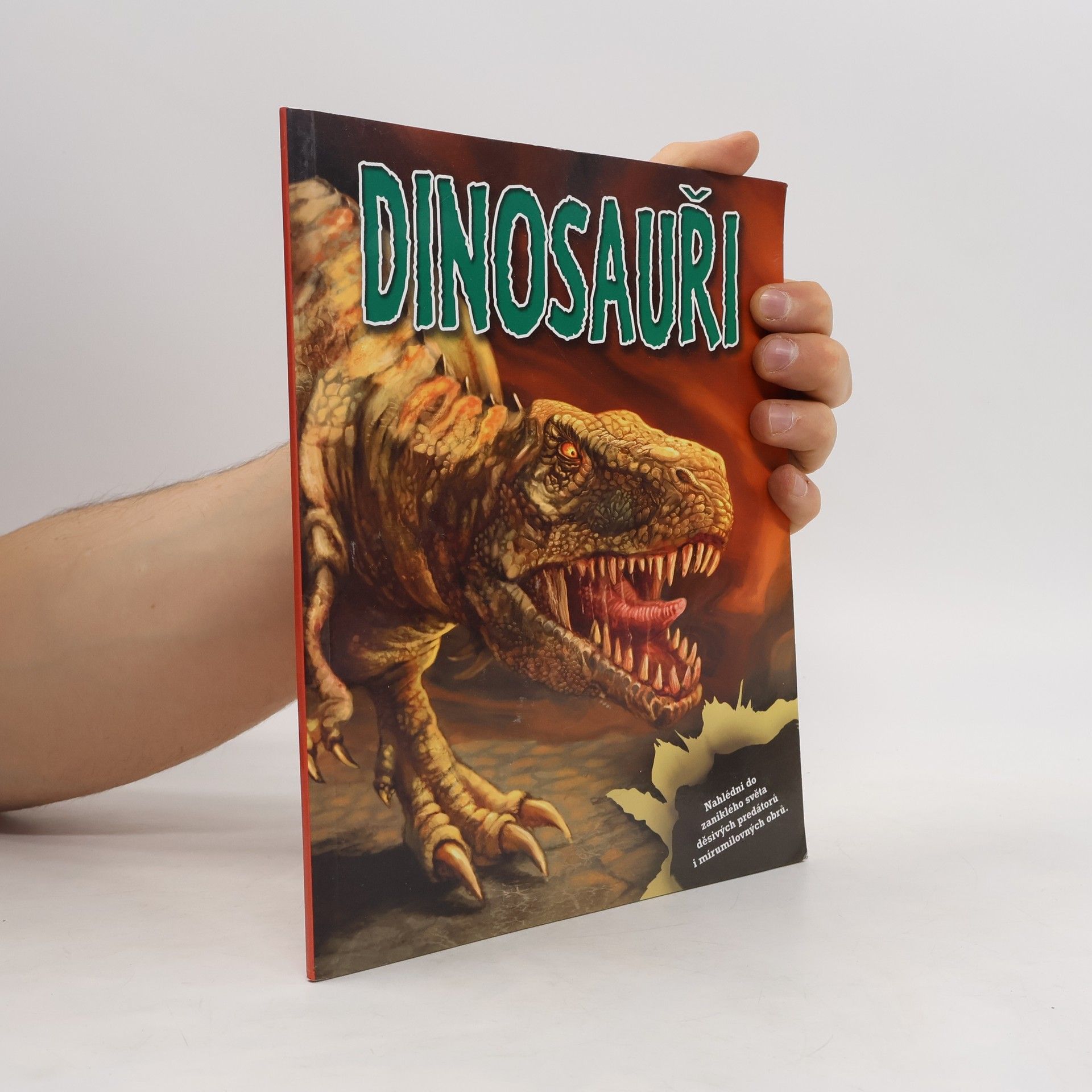 Collectif d'auteurs Dinosauři - kniha a modely a samolepky