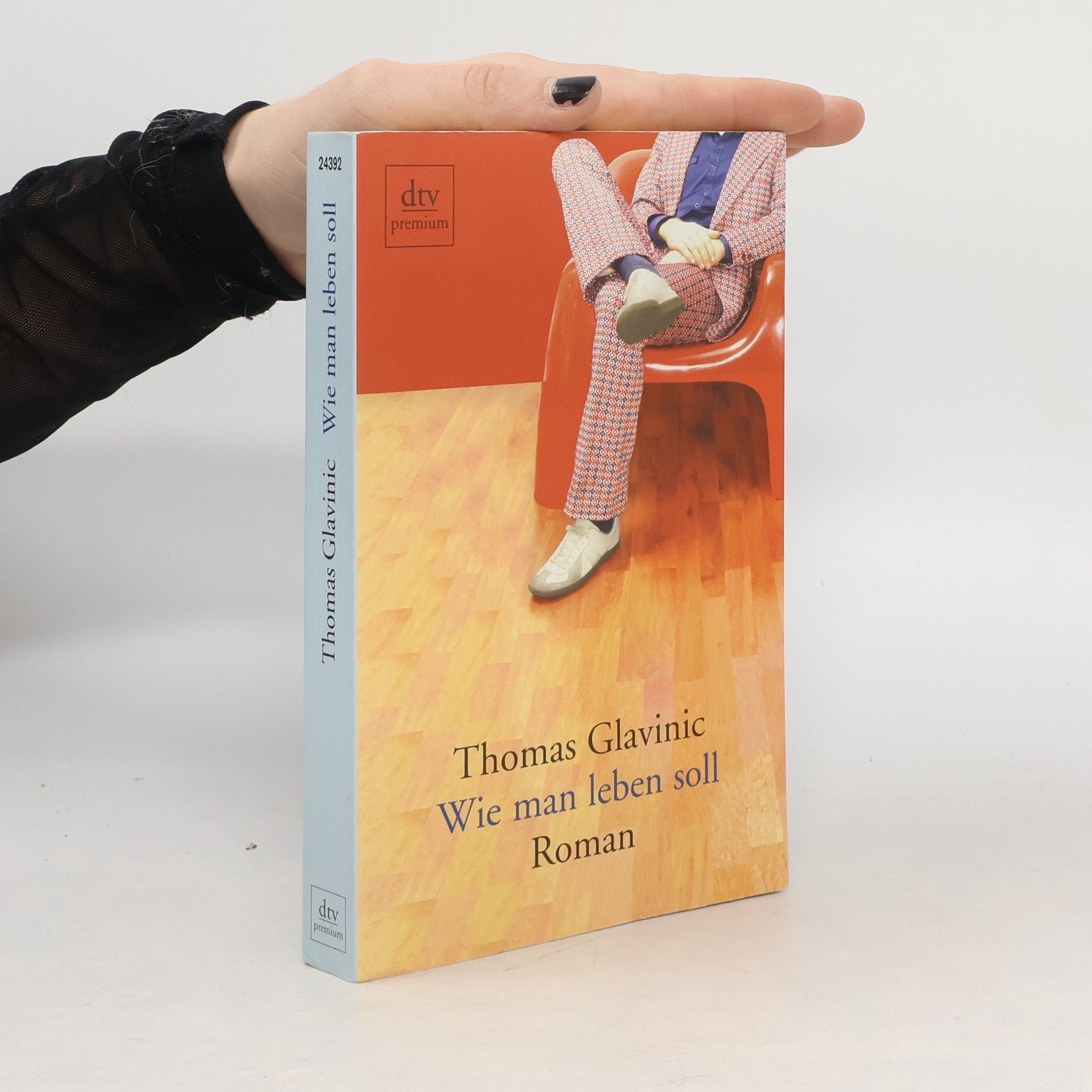 Thomas Glavinic Wie Man Leben Soll