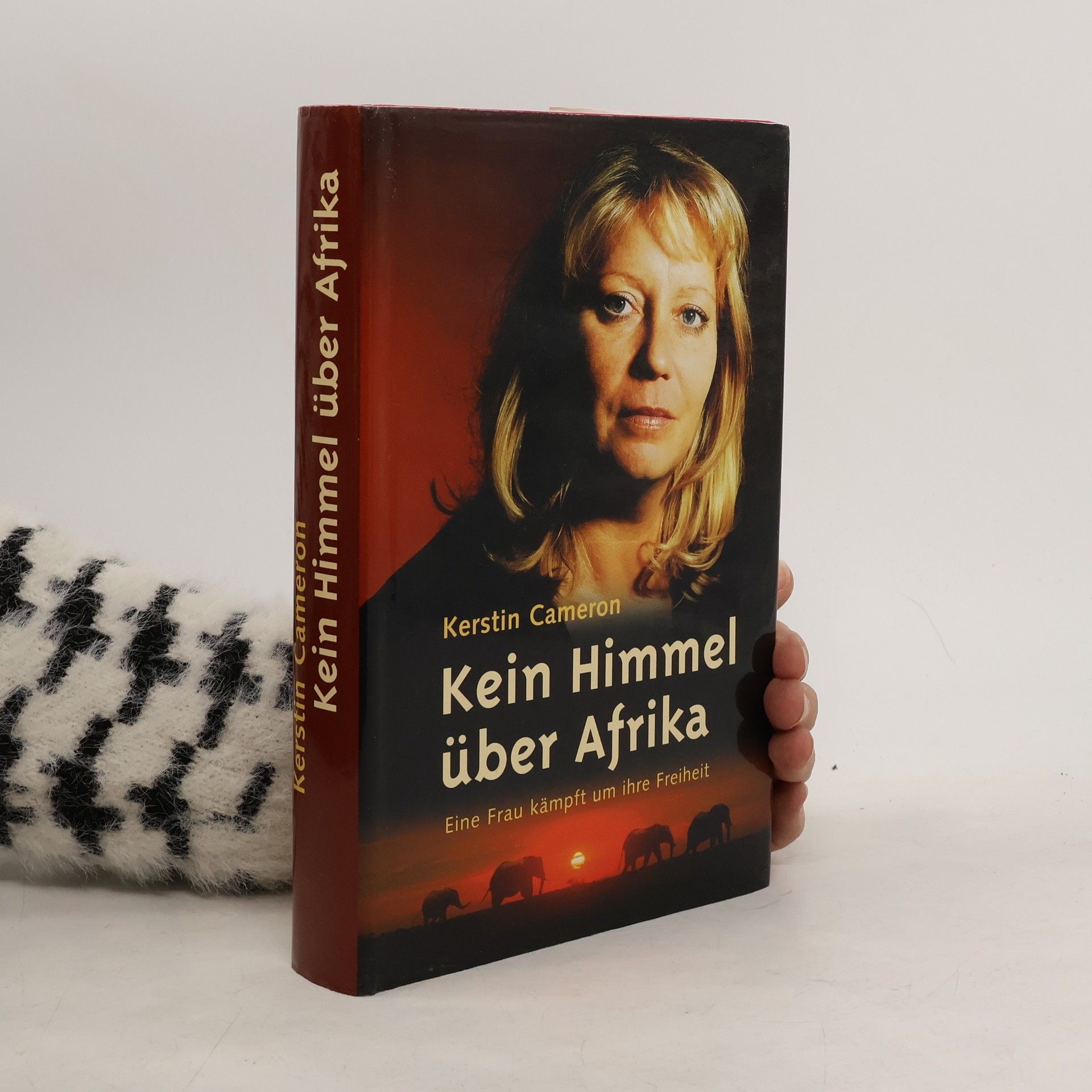 Kerstin Cameron Kein Himmel über Afrika