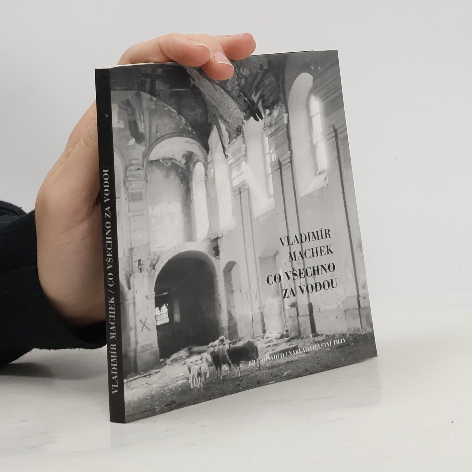 Vladimír Machek Co všechno za vodou