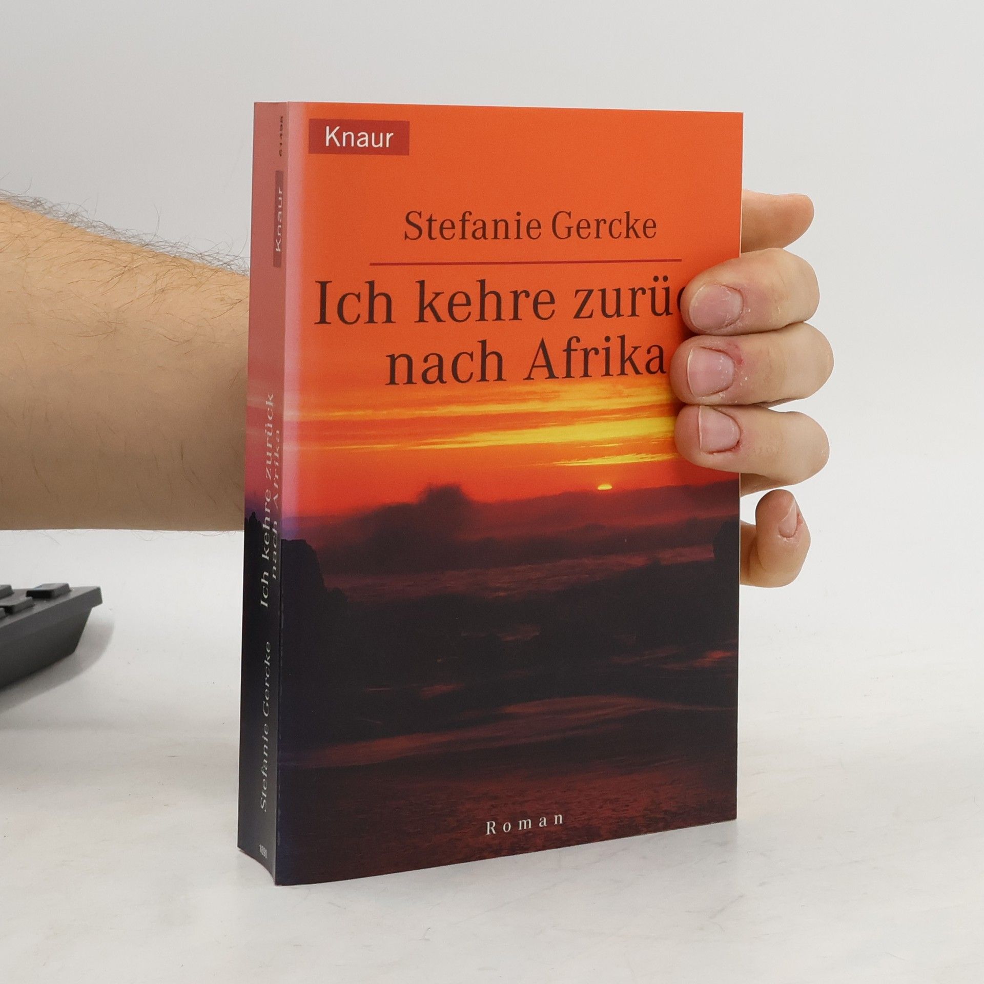 Stefanie Gercke Ich kehre zurück nach Afrika