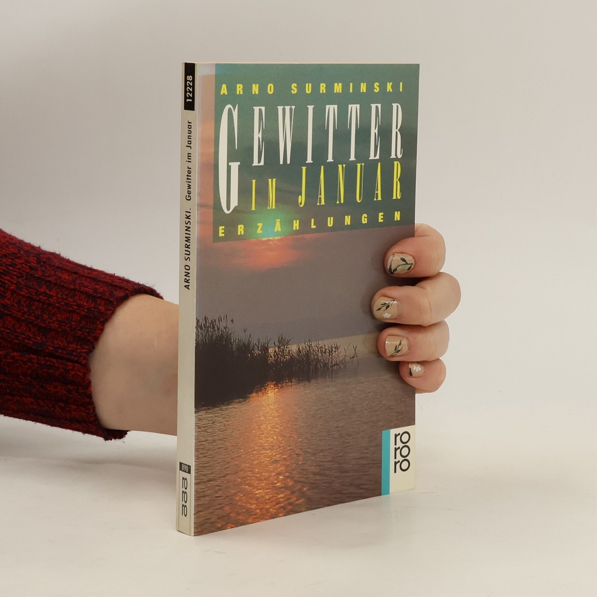 Arno Surminski Gewitter im Januar
