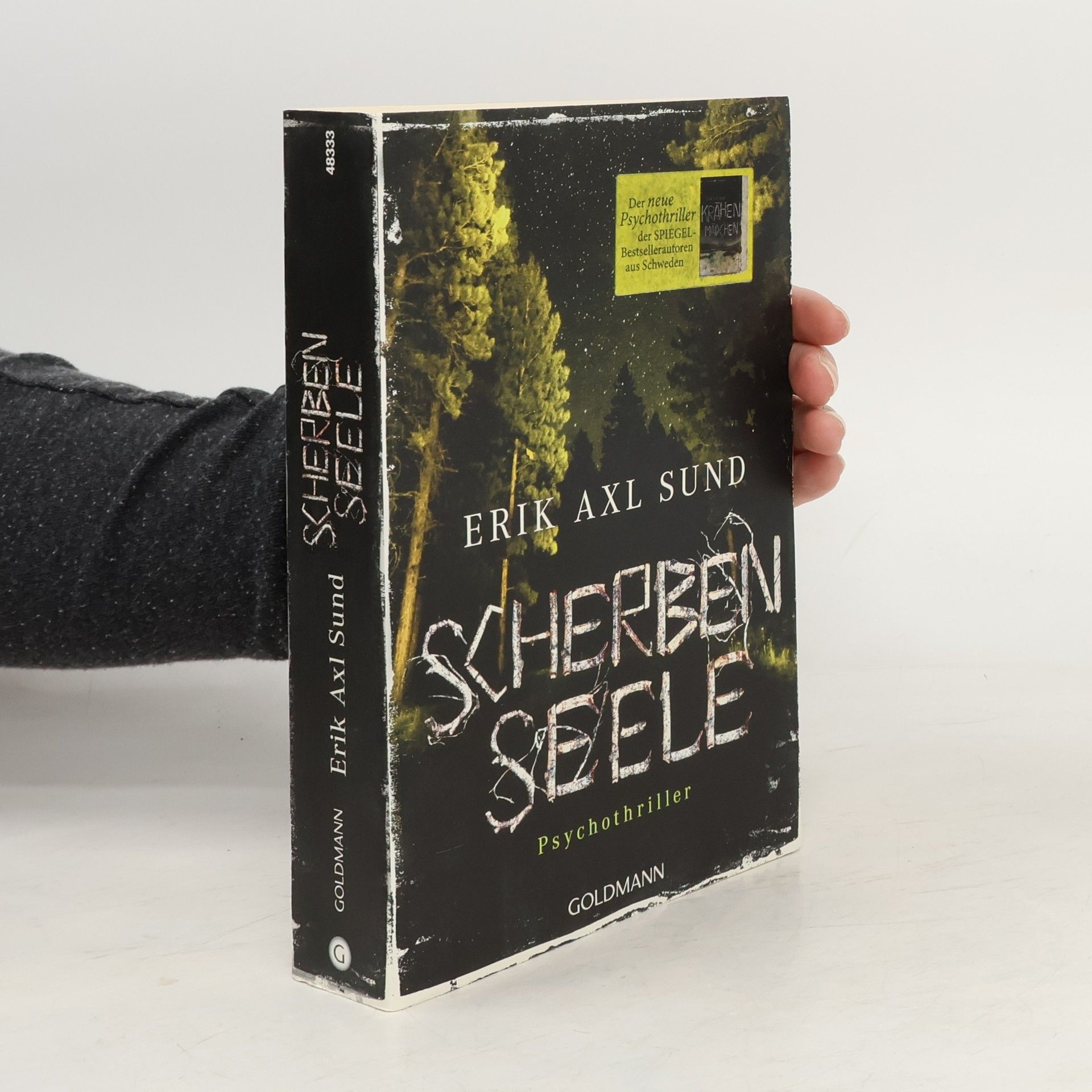 Erik Axl Sund Scherbenseele