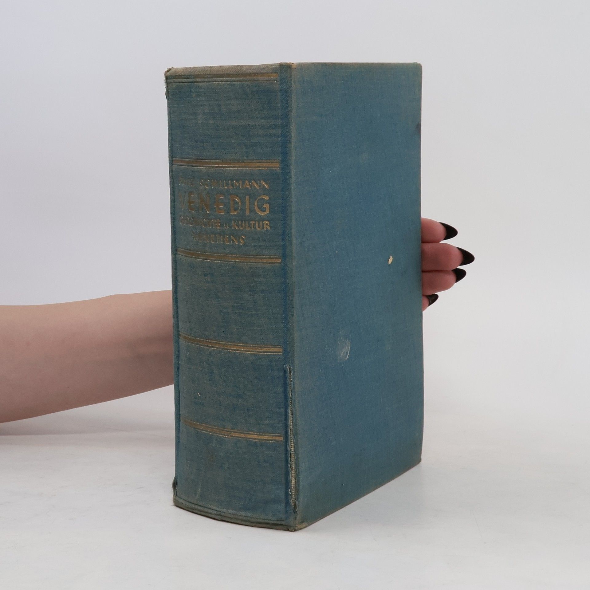 Venedig. Geschichte und Kultur Venetiens