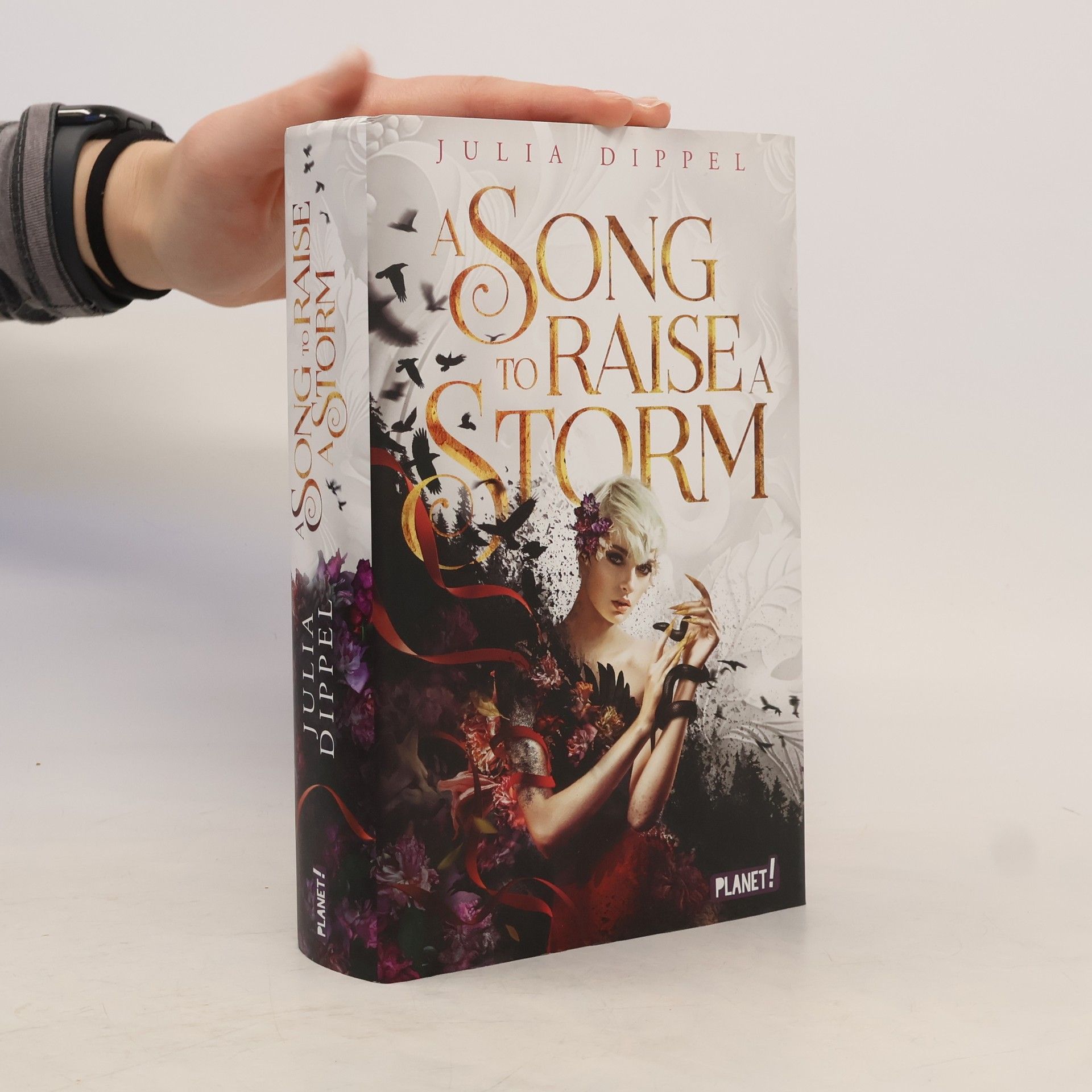 Julia Dippel Die Sonnenfeuer-Ballade 1: A Song to Raise a Storm