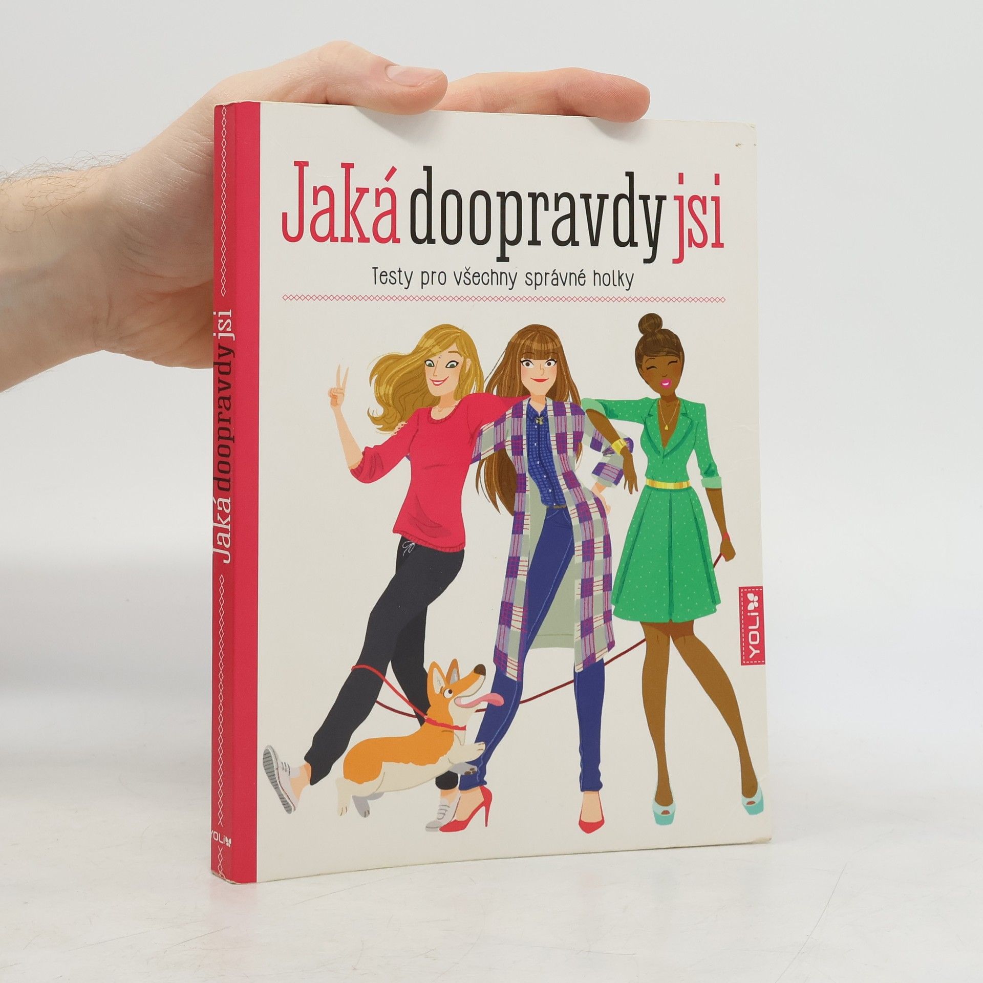 Anne-Sophie Jouhanneau Jaká doopravdy jsi: Testy pro všechny správné holky