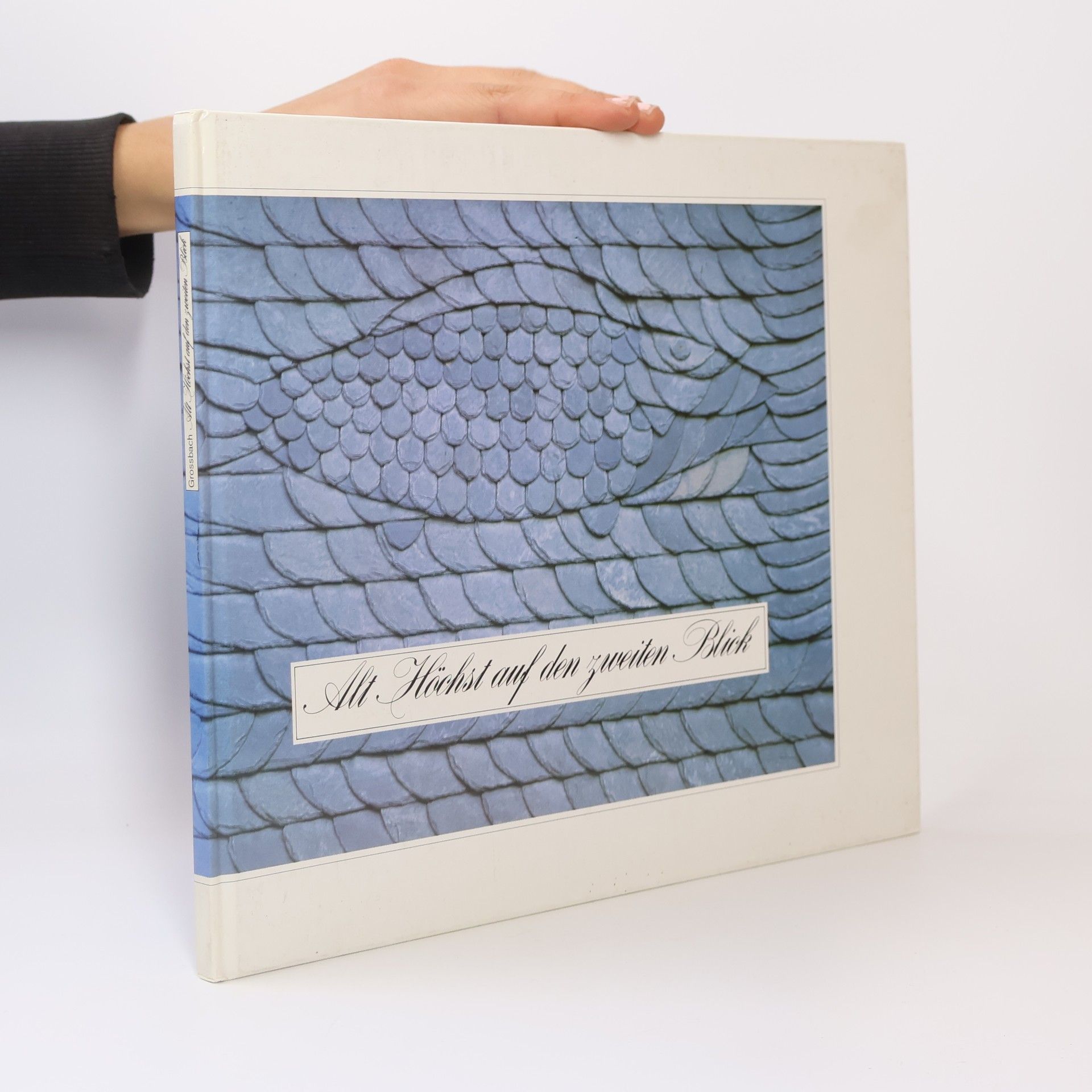 Wilhelm Grossbach Alt-Höchst auf den zweiten Blick