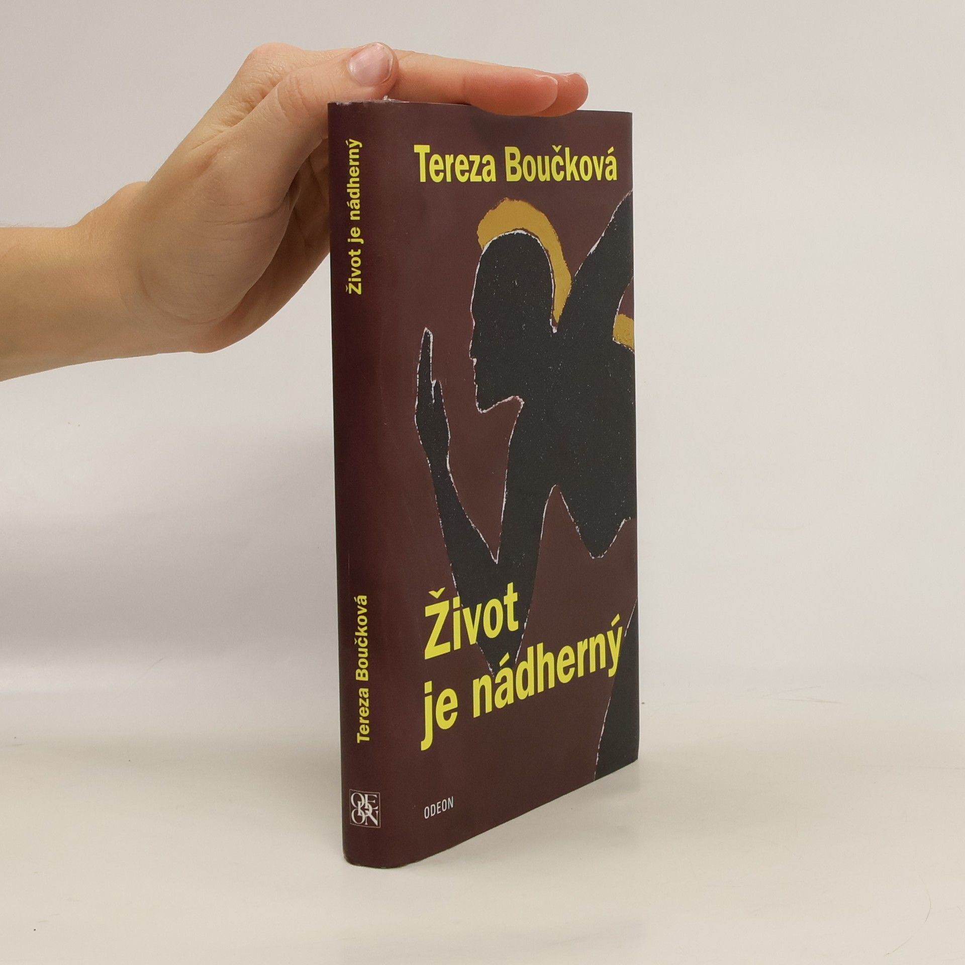 Život je nádherný