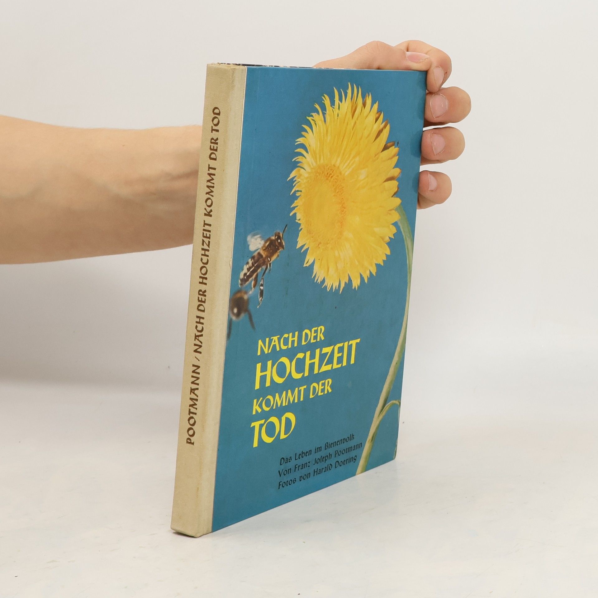 Franz Joseph Pootmann Nach der Hochzeit kommt der Tod
