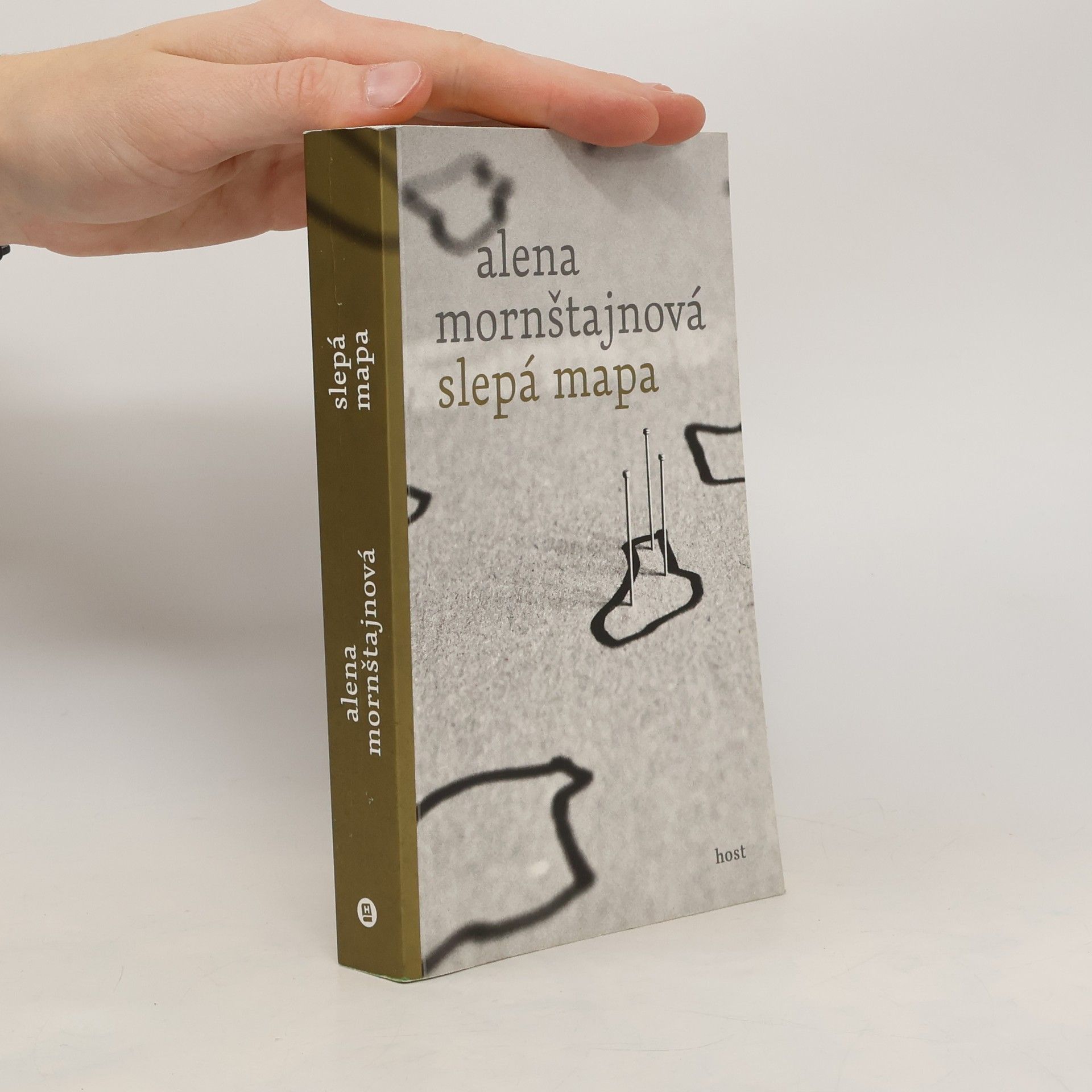 Alena Mornštajnová Slepá mapa