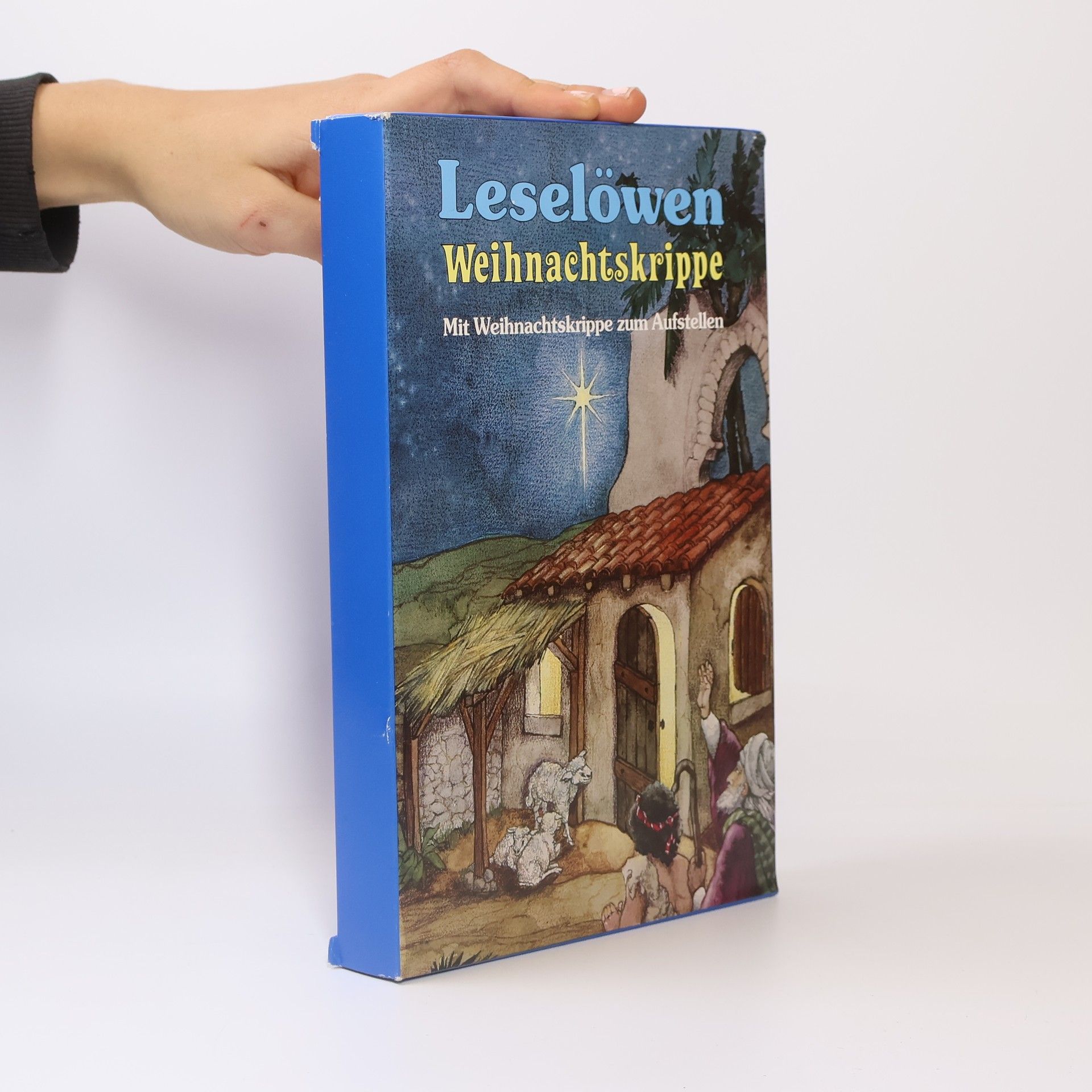 Leselöwen Weihnachtskrippe