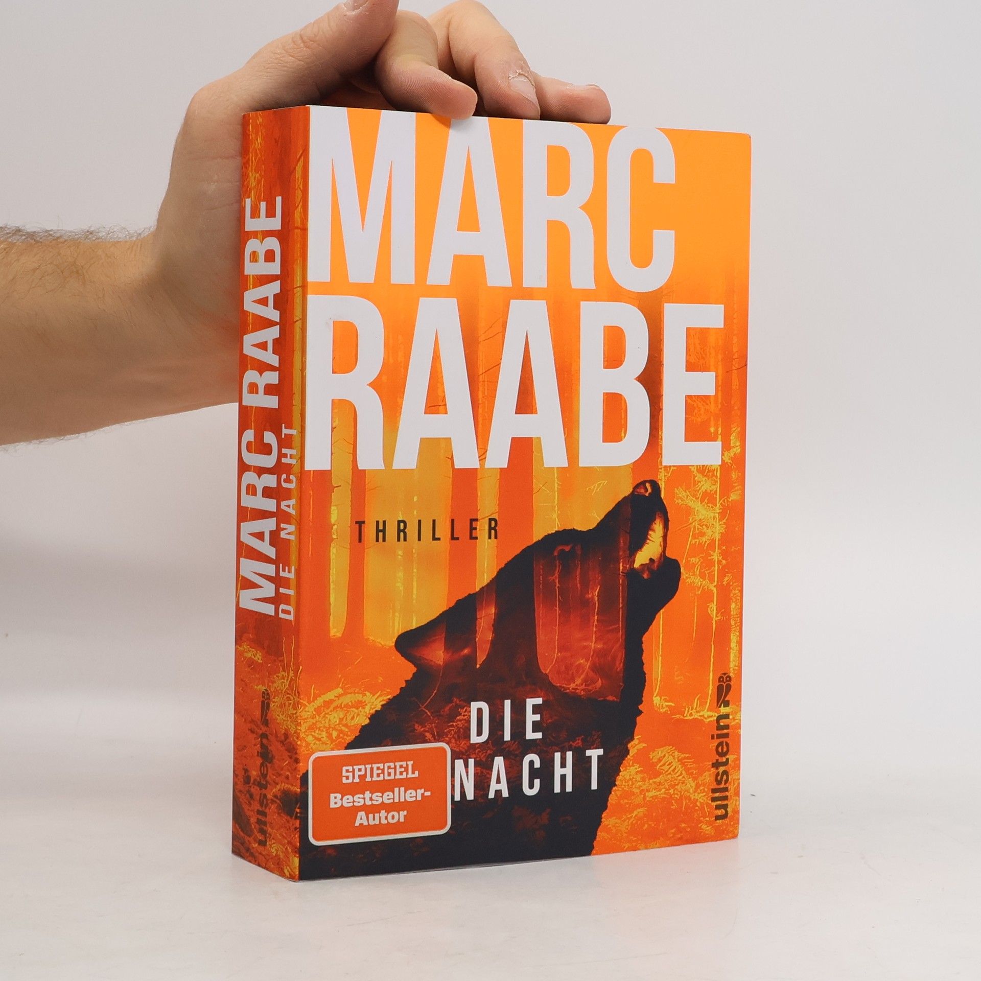 Marc Raabe Die Nacht