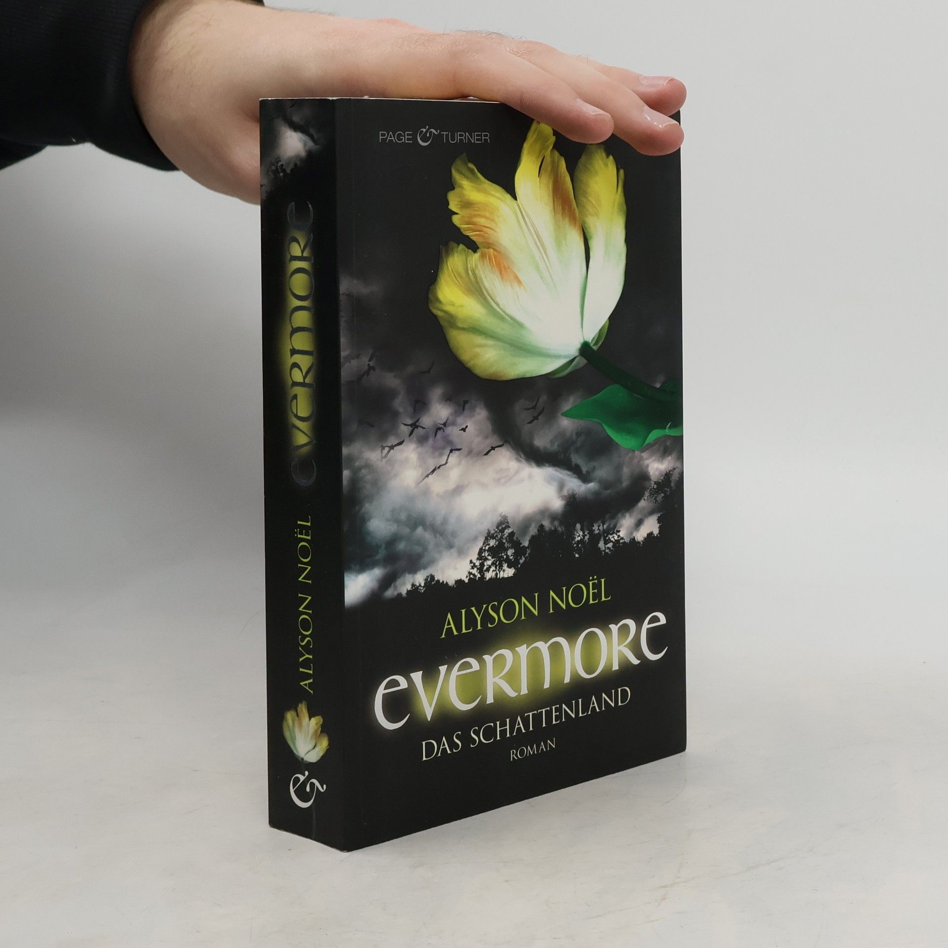 Alyson Noël Evermore: Das Schattenland