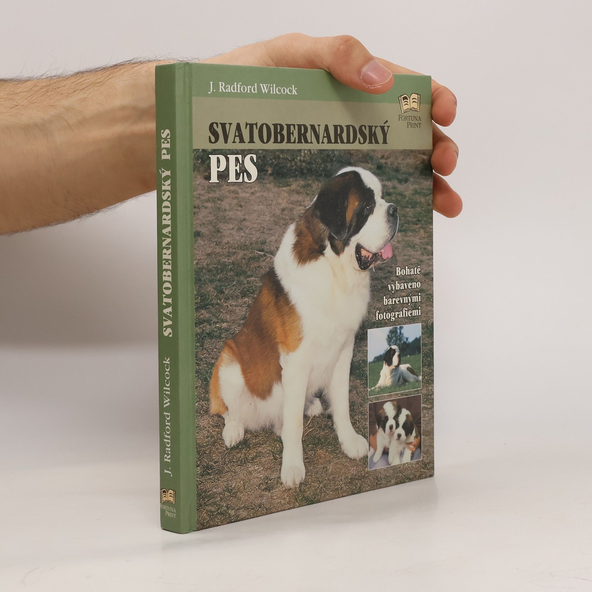 J. Radford Wilcock Svatobernardský pes