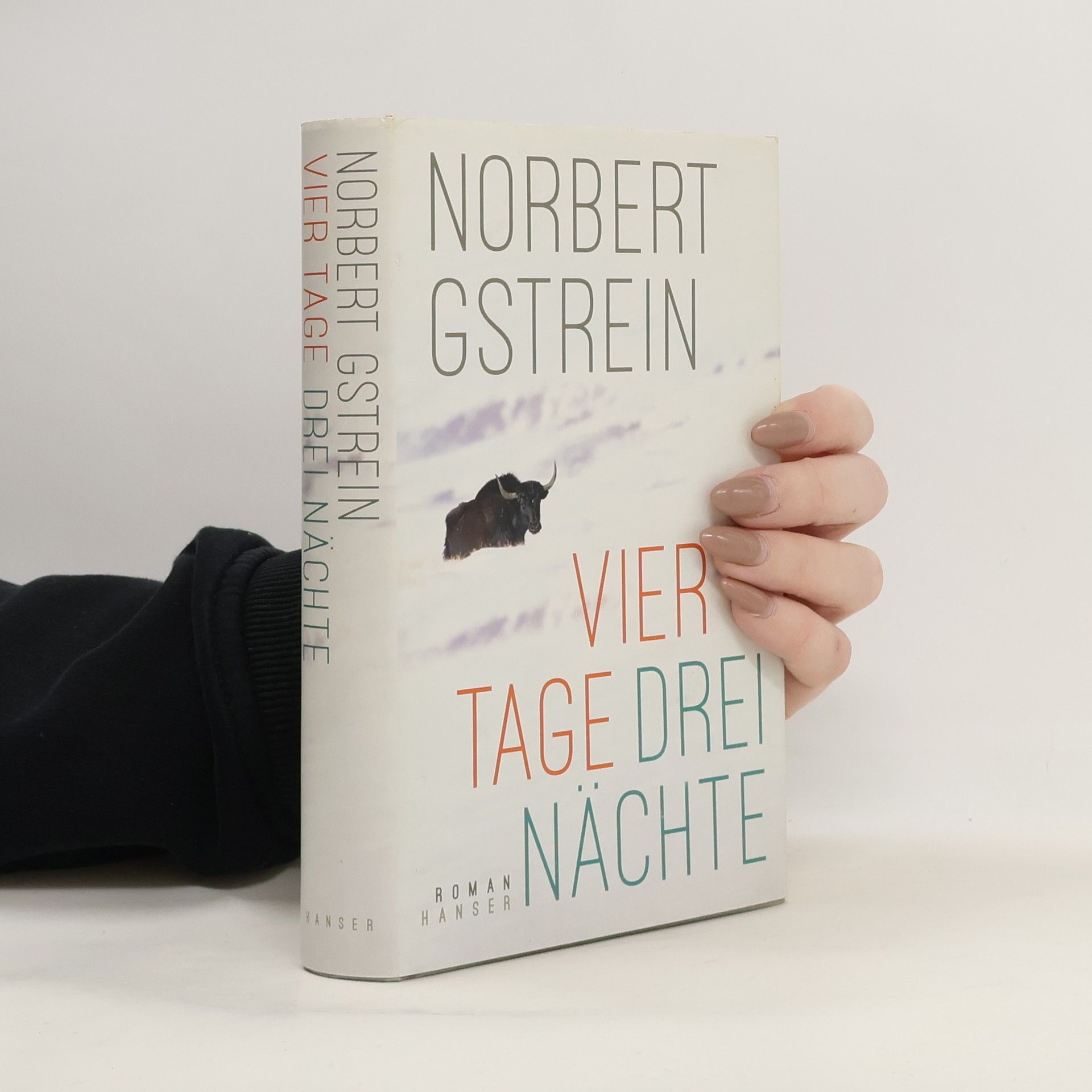 Norbert Gstrein Vier Tage, drei Nächte