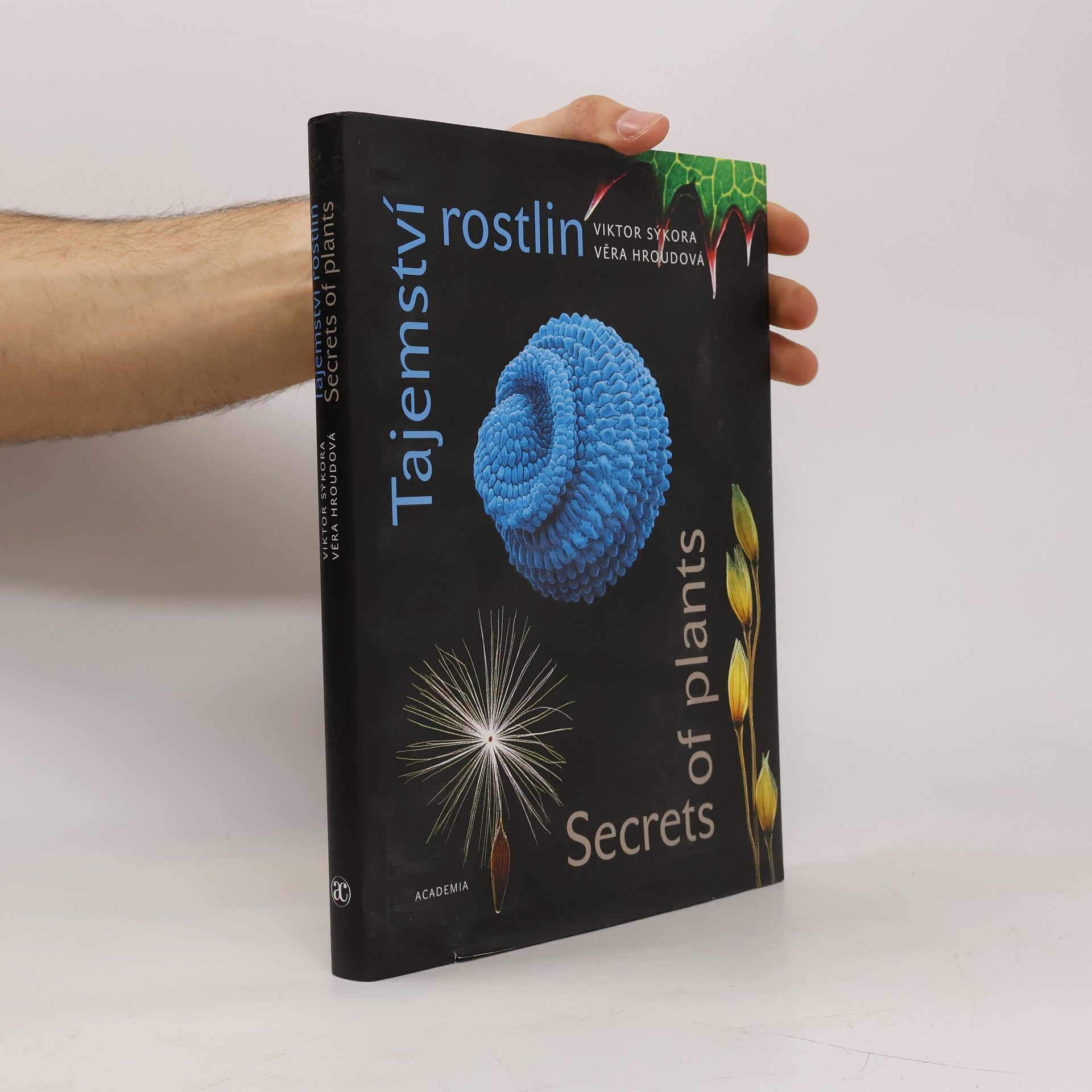 Tajemství rostlin. Secrets of plants