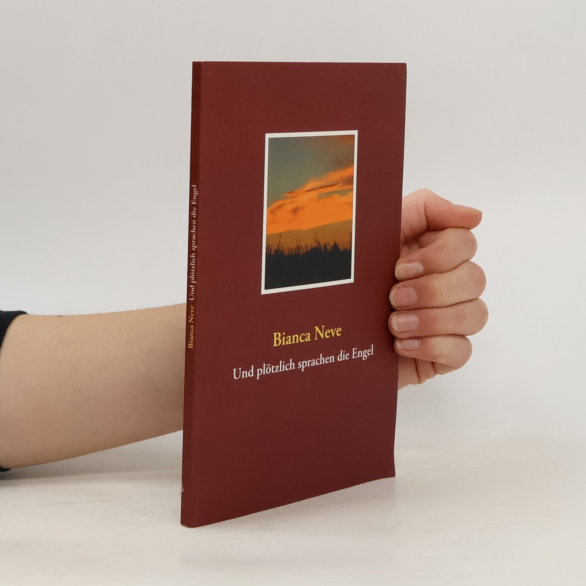 Bianca Neve Und plötzlich sprachen die Engel