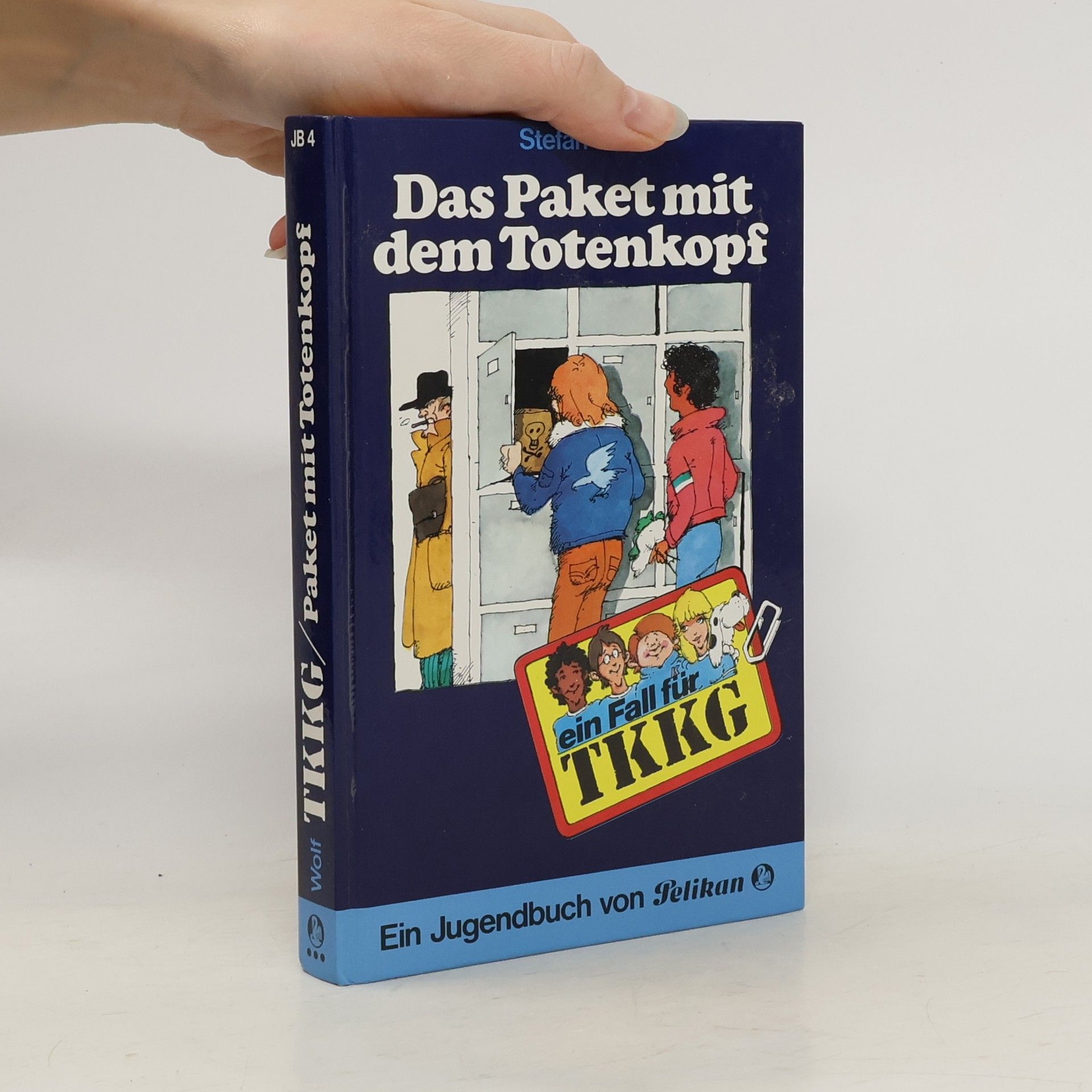 Stefan Wolf Ein Fall für TKKG: Das Paket mit dem Totenkopf