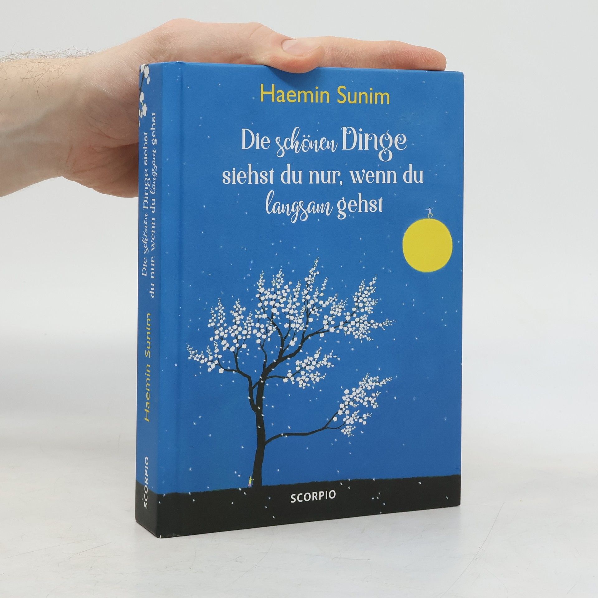 Haemin Die schönen Dinge siehst du nur, wenn du langsam gehst