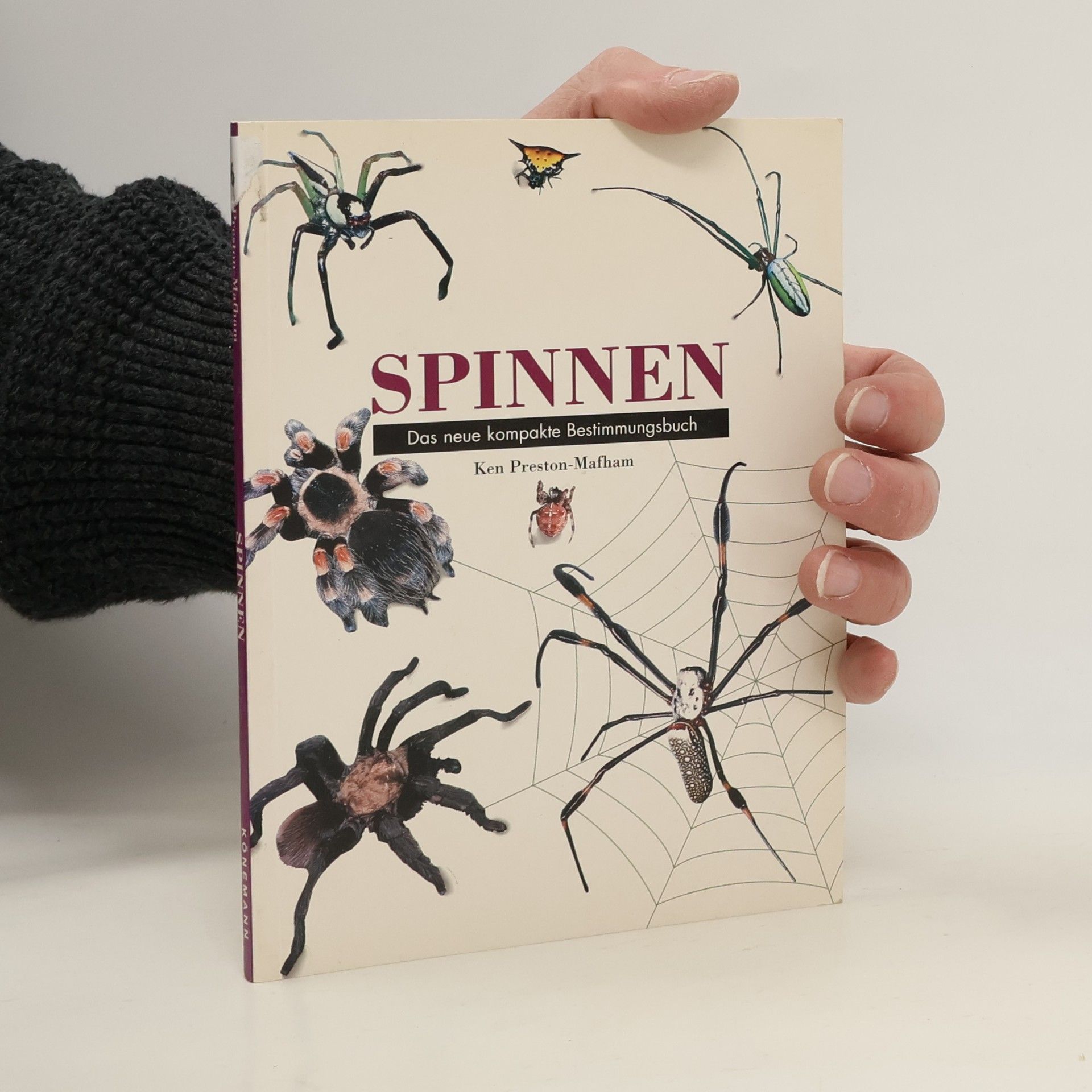 Ken Preston-Mafham Spinnen