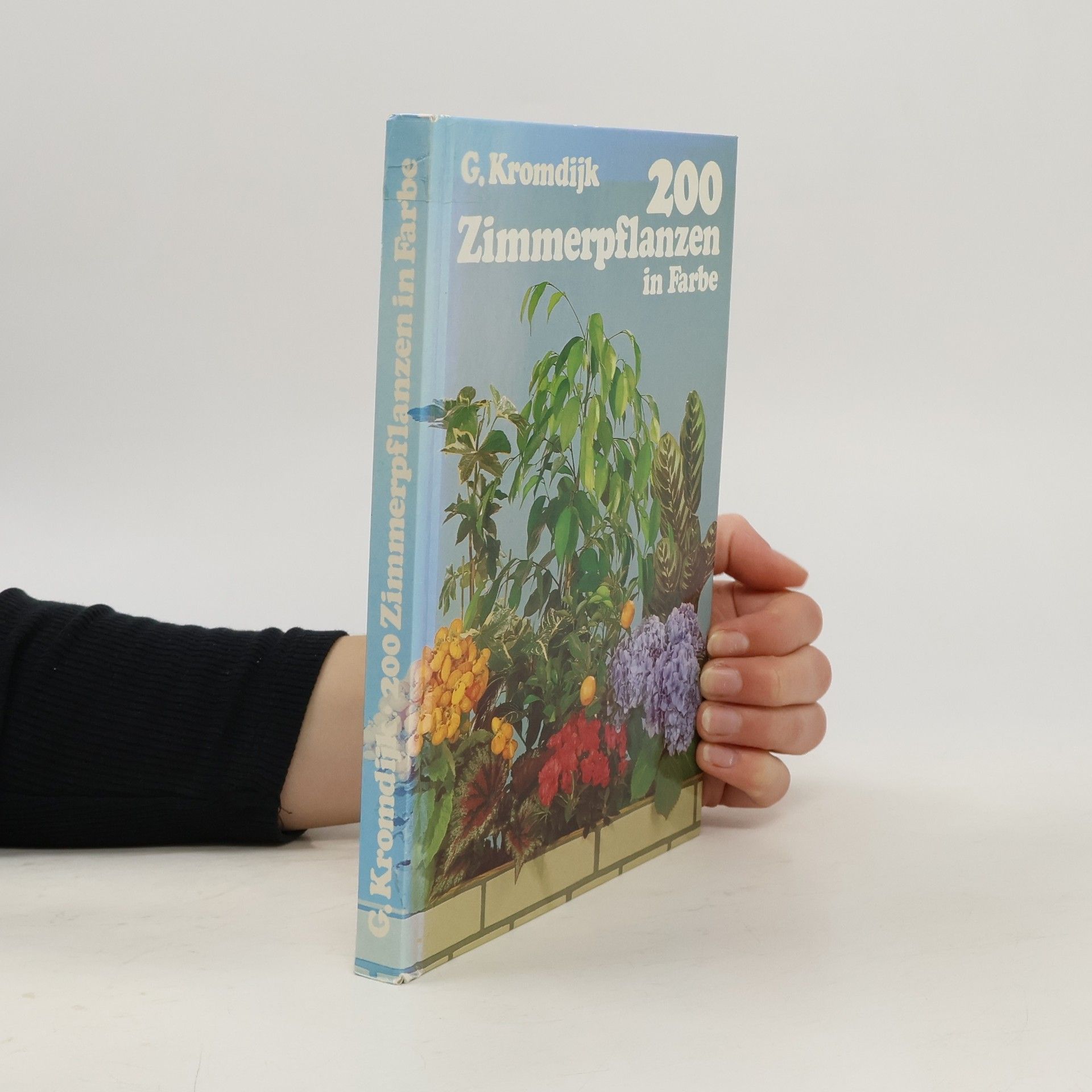 G. Kromdijk 200 Zimmerpflanzen in Farbe