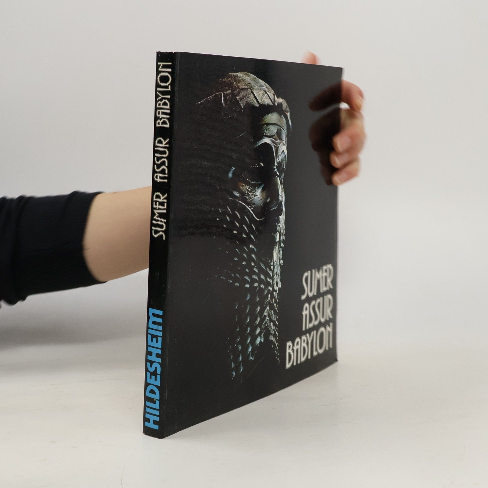 Sumer, Assur, Babylon : 7000 Jahre Kunst und Kultur zwischen Euphrat und Tigris