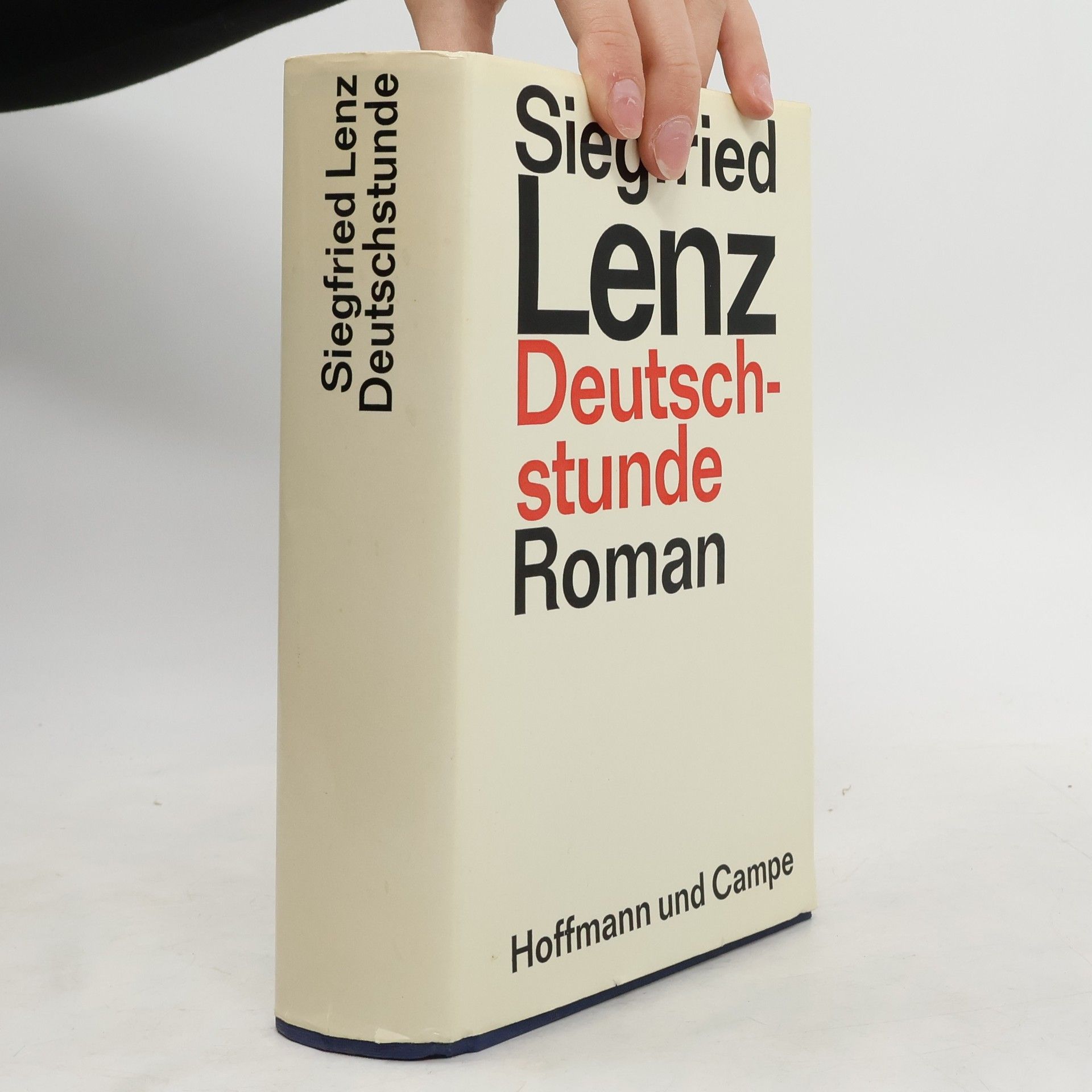 Siegfried Lenz Deutschstunde Roman