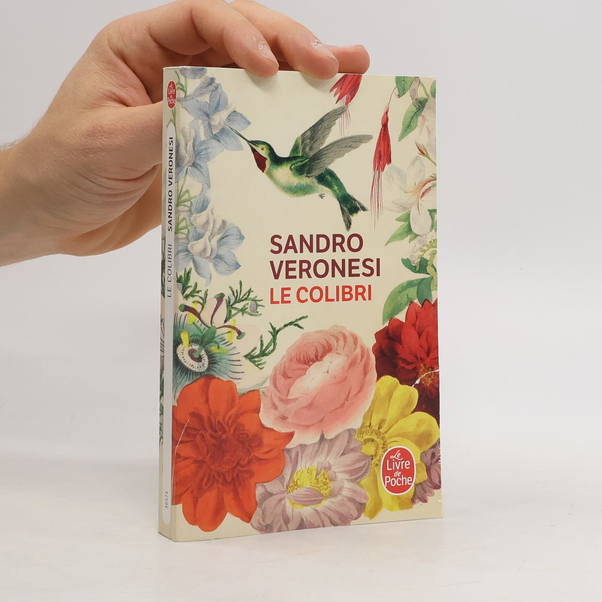 Sandro Veronesi Le colibri