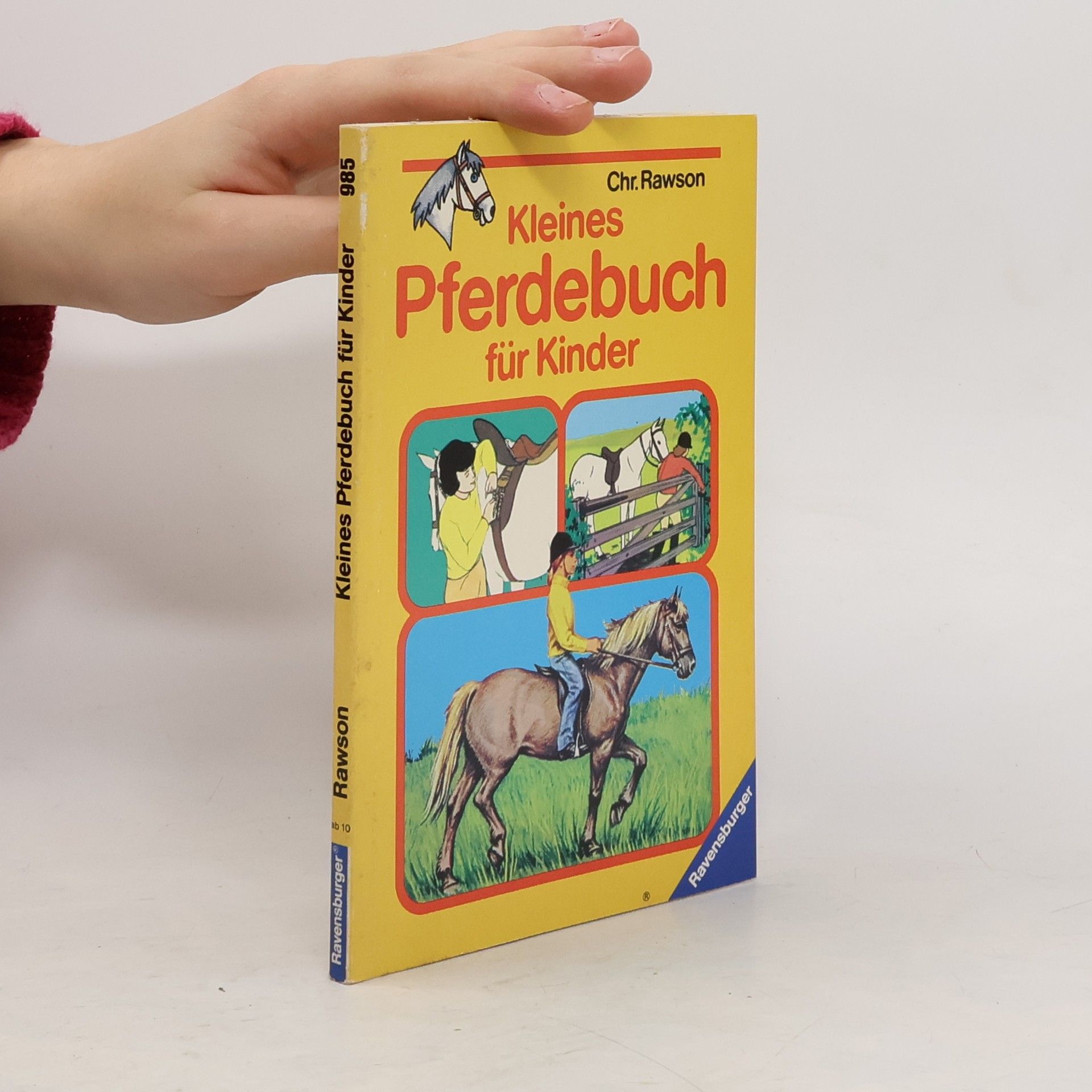 Christopher Rawson Kleines Pferdebuch für Kinder