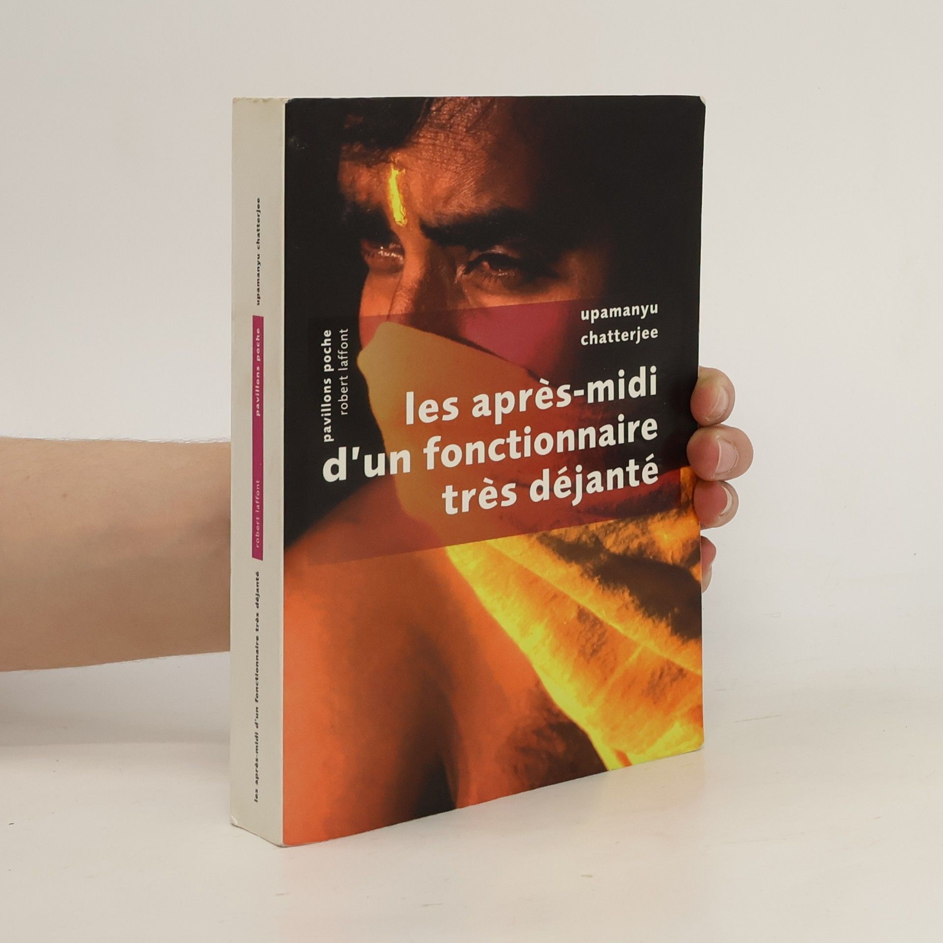 Carisse Busquet Les Après-midi d'un fonctionnaire très déjanté