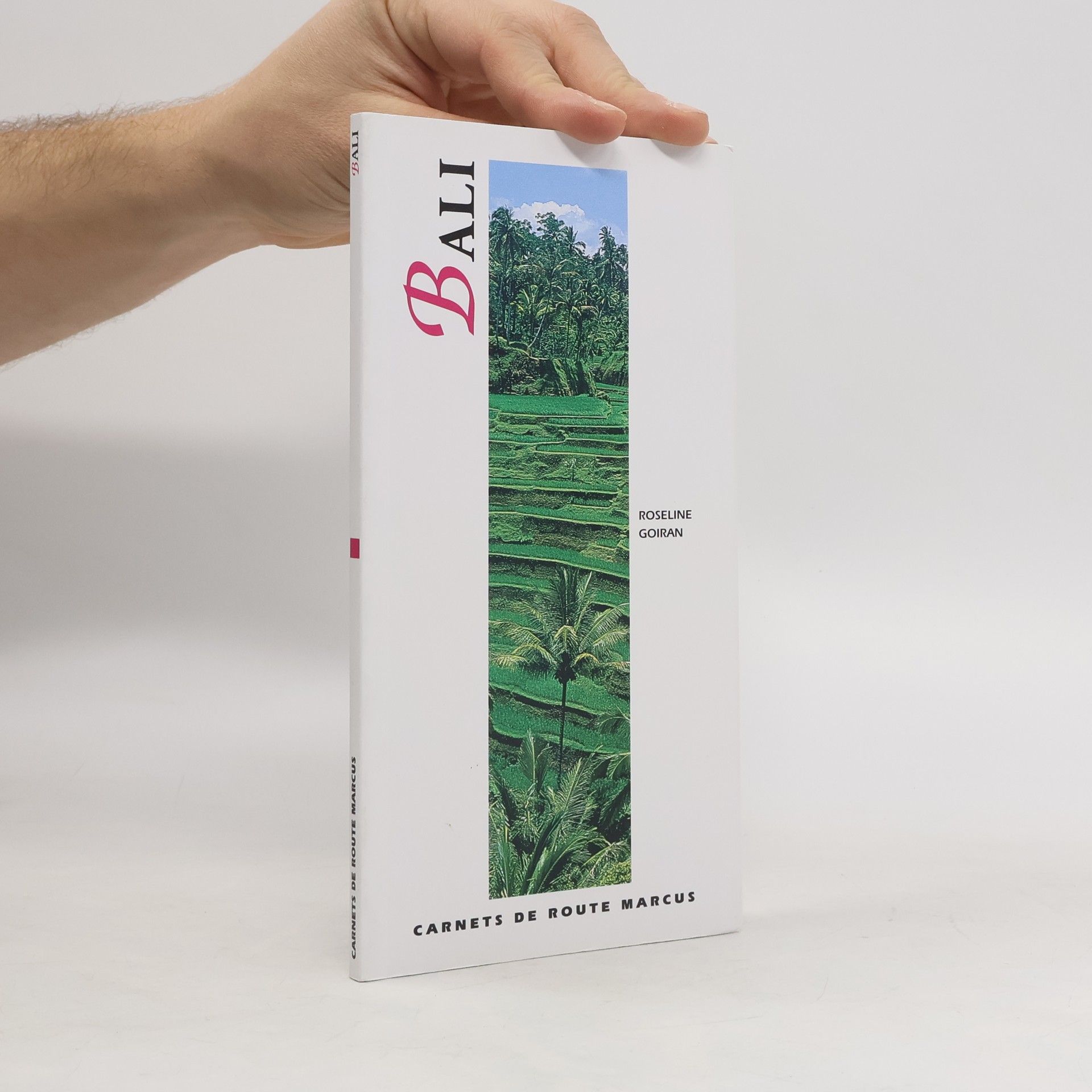 Roseline Goiran Carnets de route Marcus: Bali
