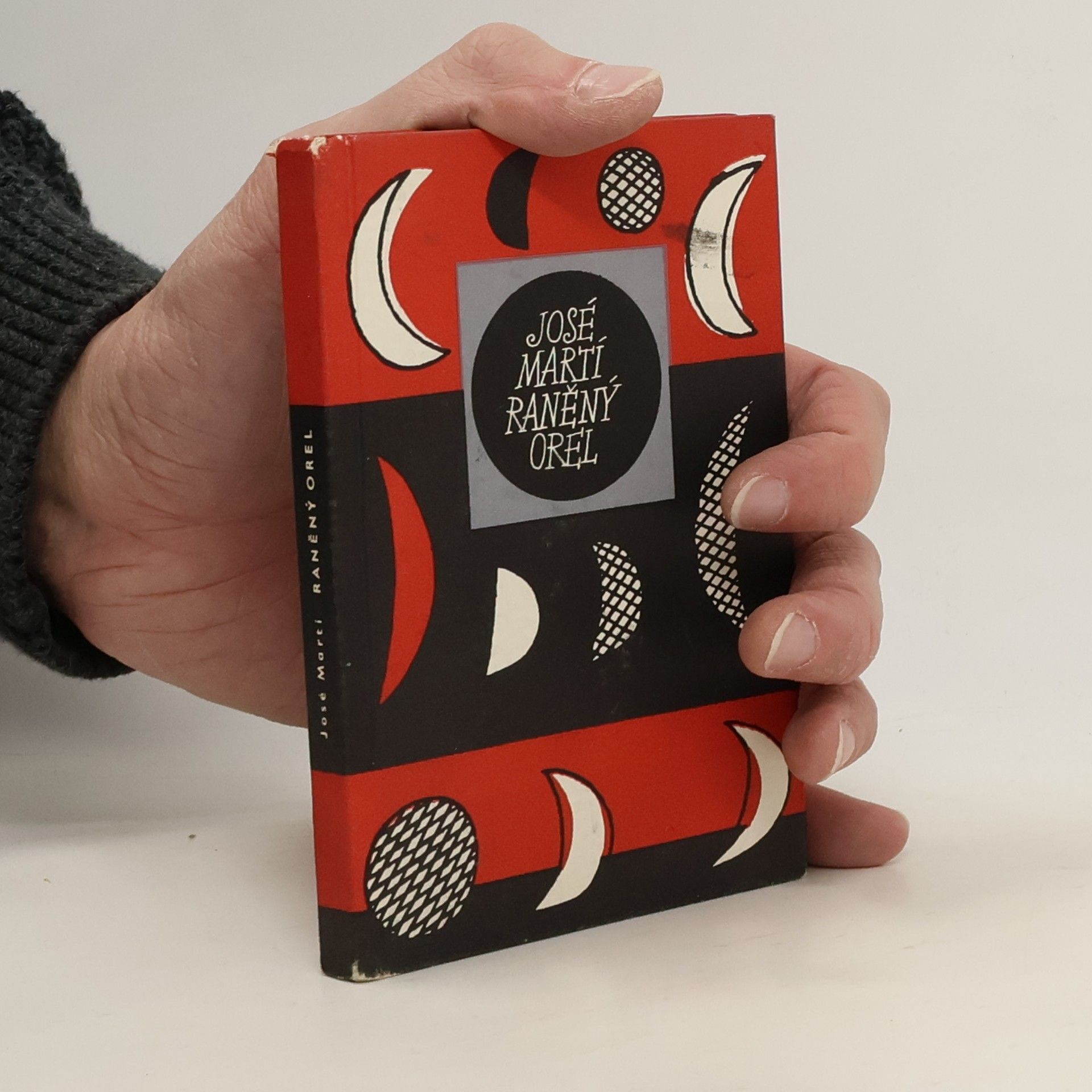 José Martí Raněný orel