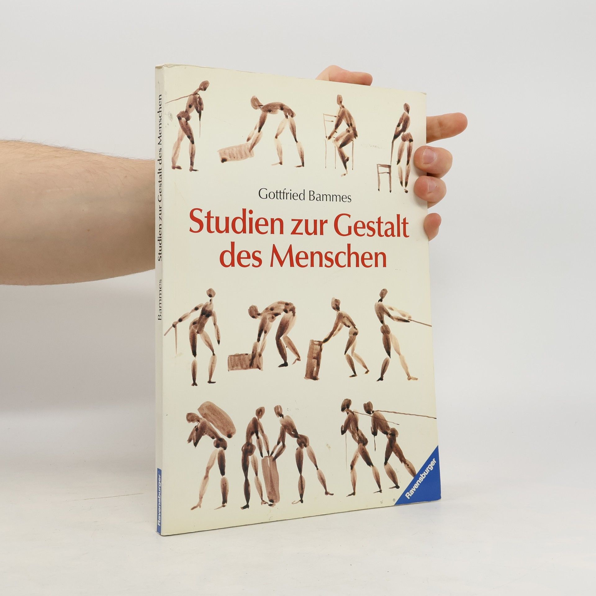 Gottfried Bammes Studien zur Gestalt des Menschen