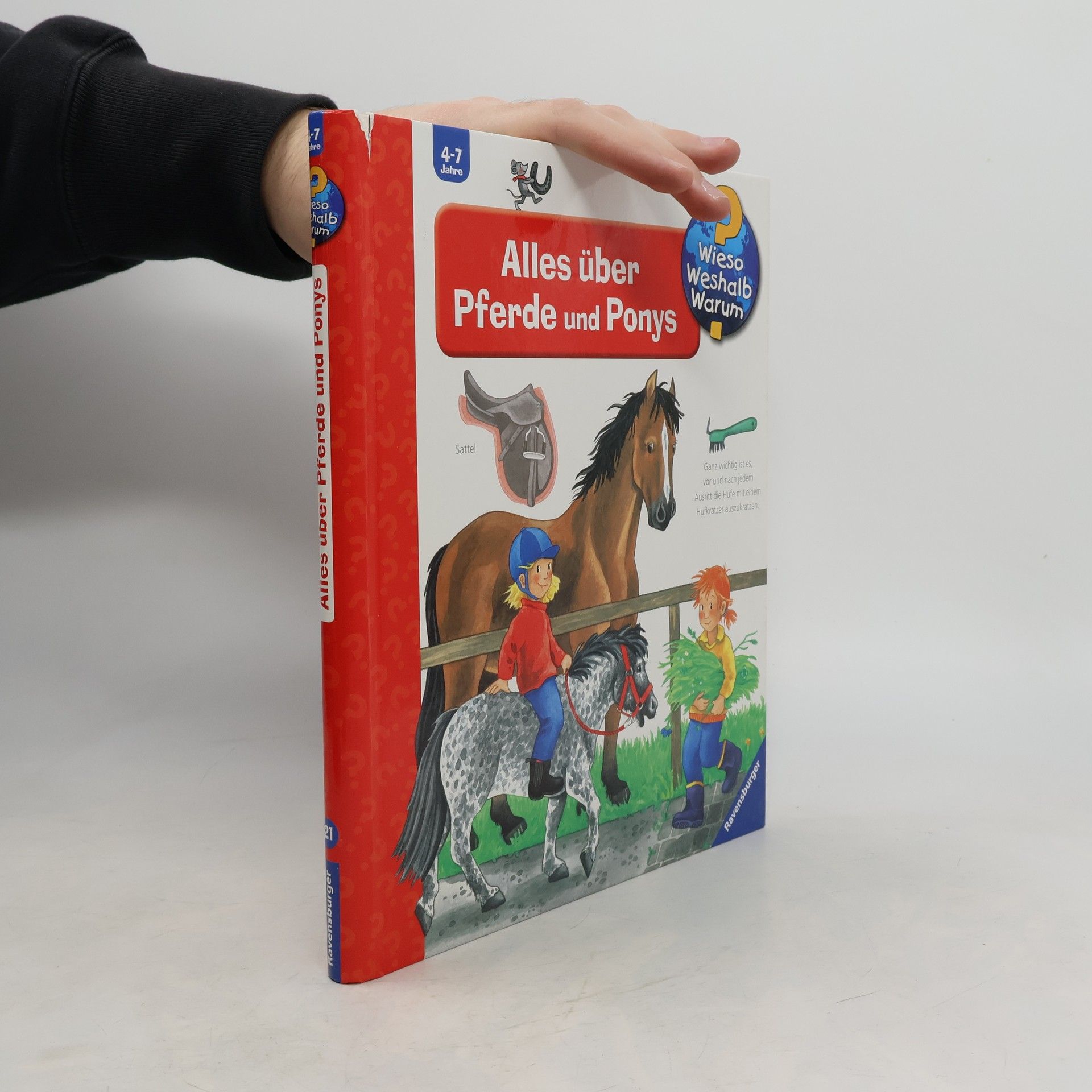 Andrea Erne Alles über Pferde und Ponys