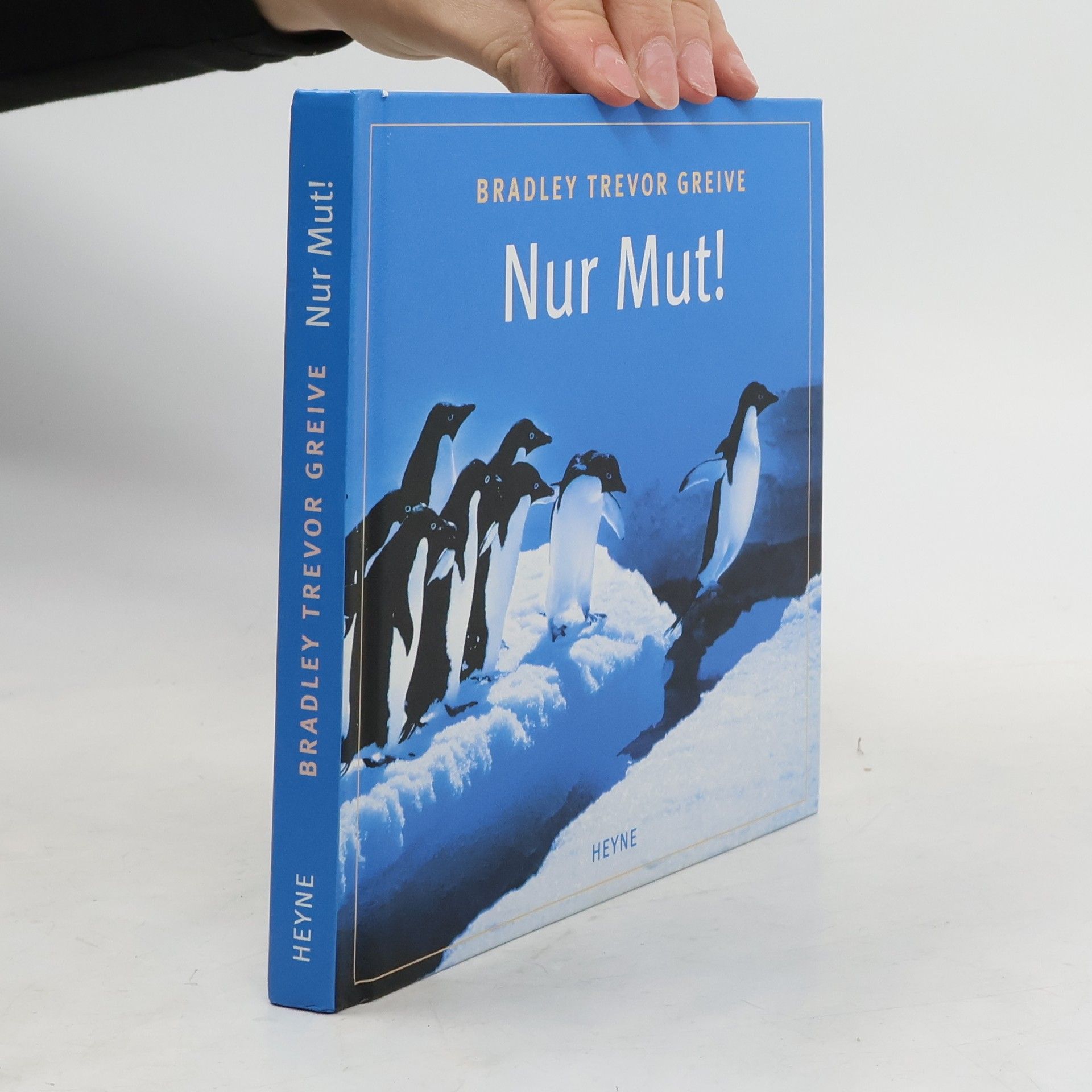 Greive Bradley Trevor Nur Mut!